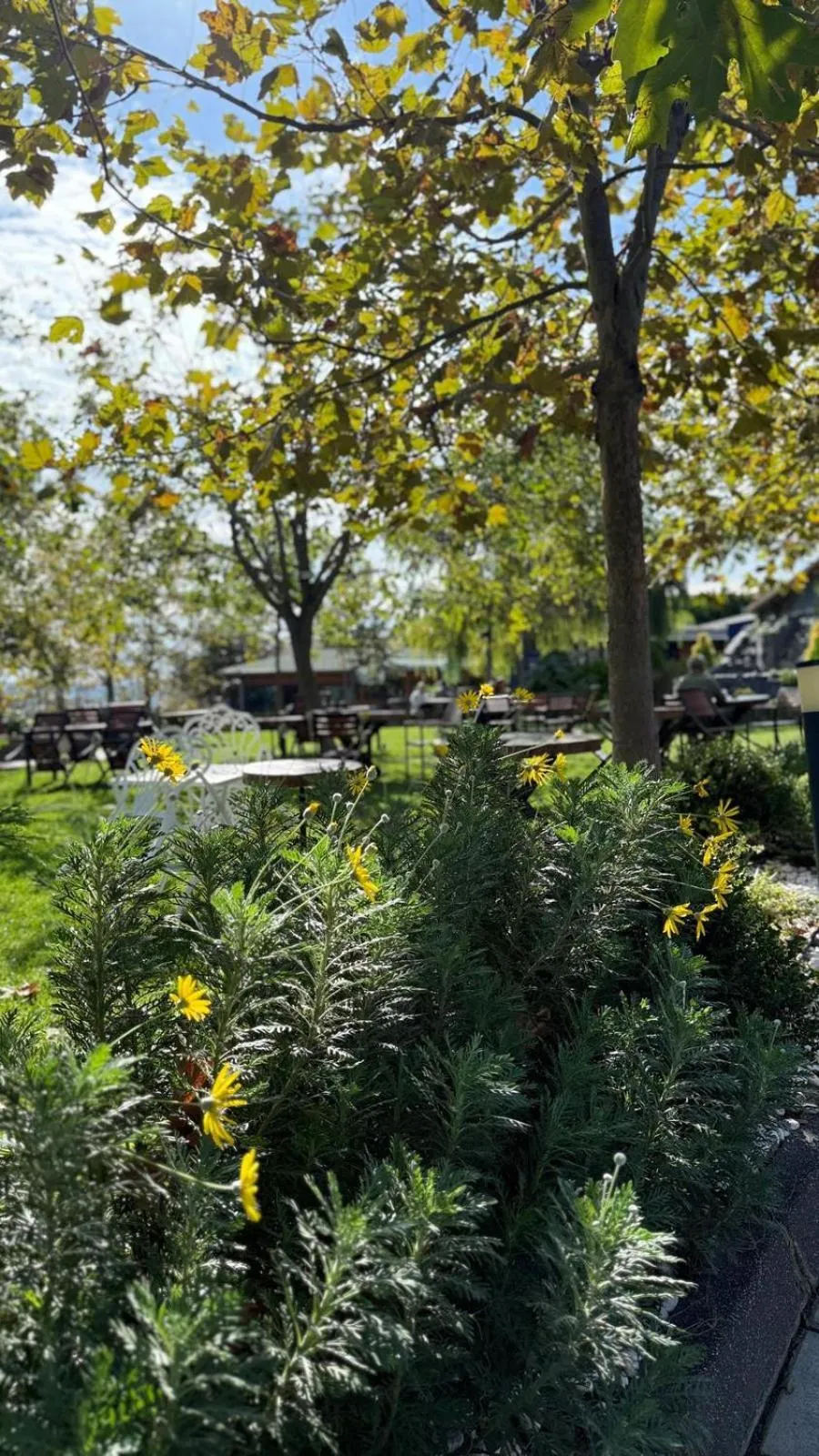 Navy Inn & Bungalows