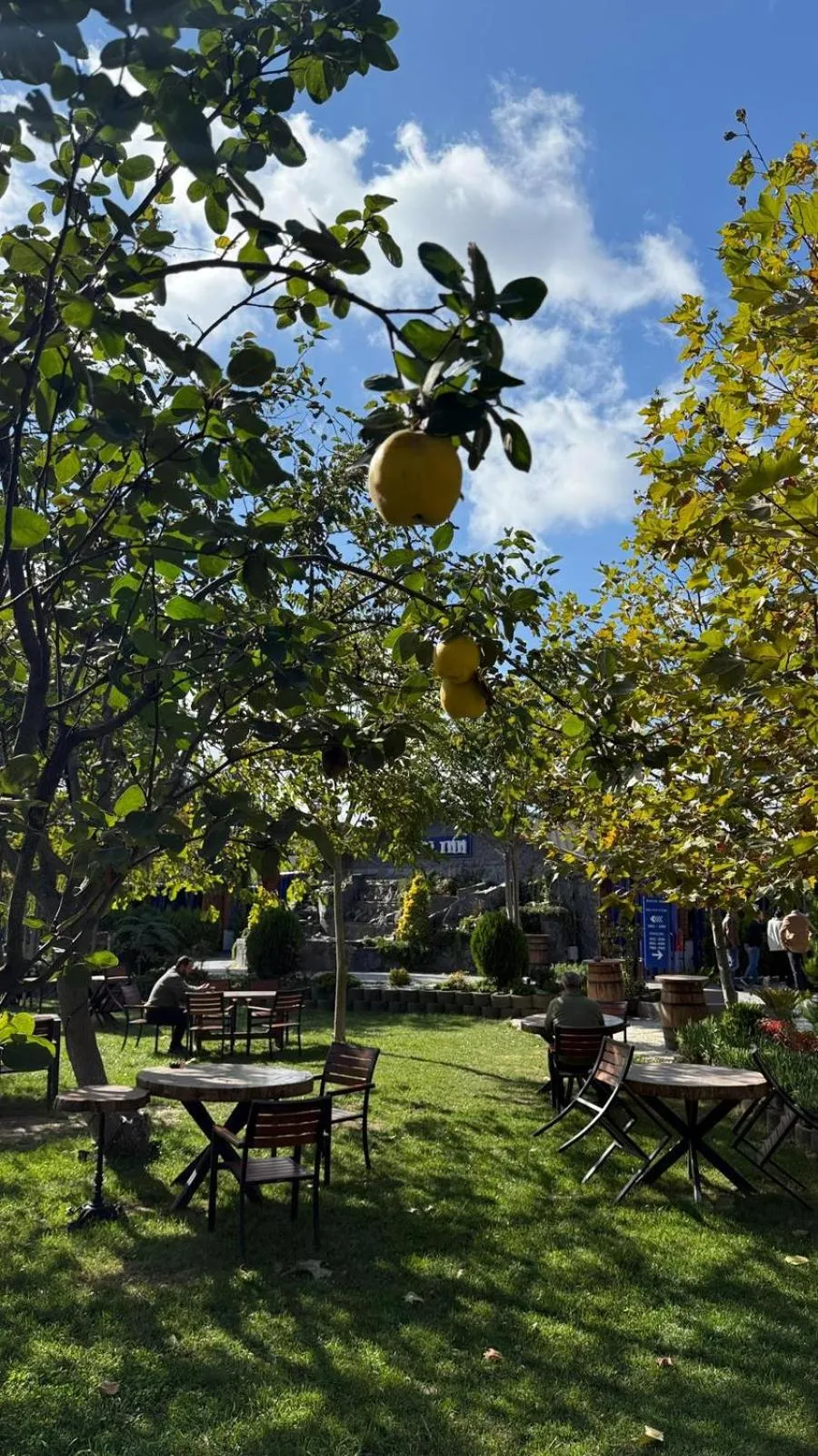 Navy Inn & Bungalows