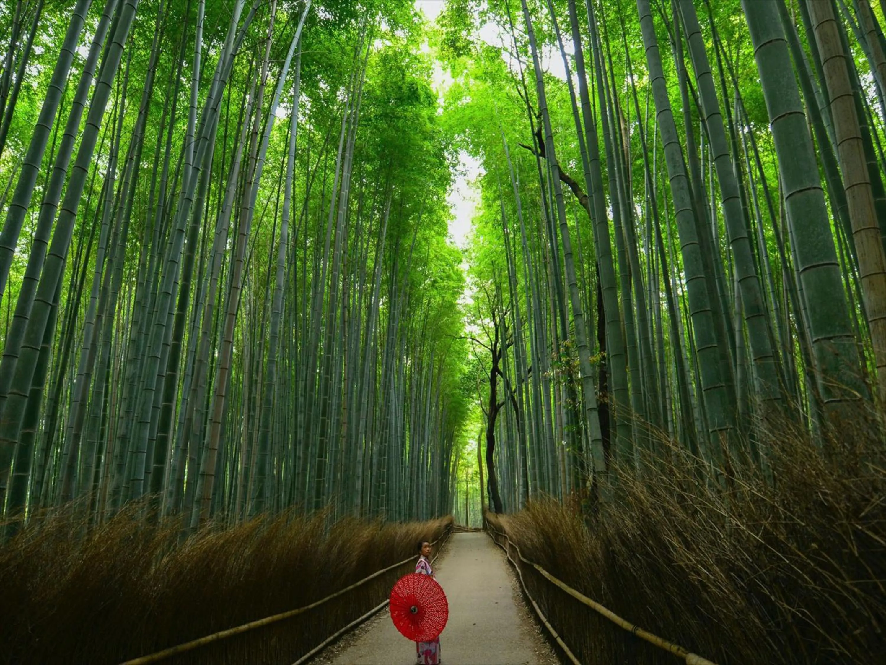 Nearby landmark in HANARE by Tokyu Stay Kyoto Sanjo