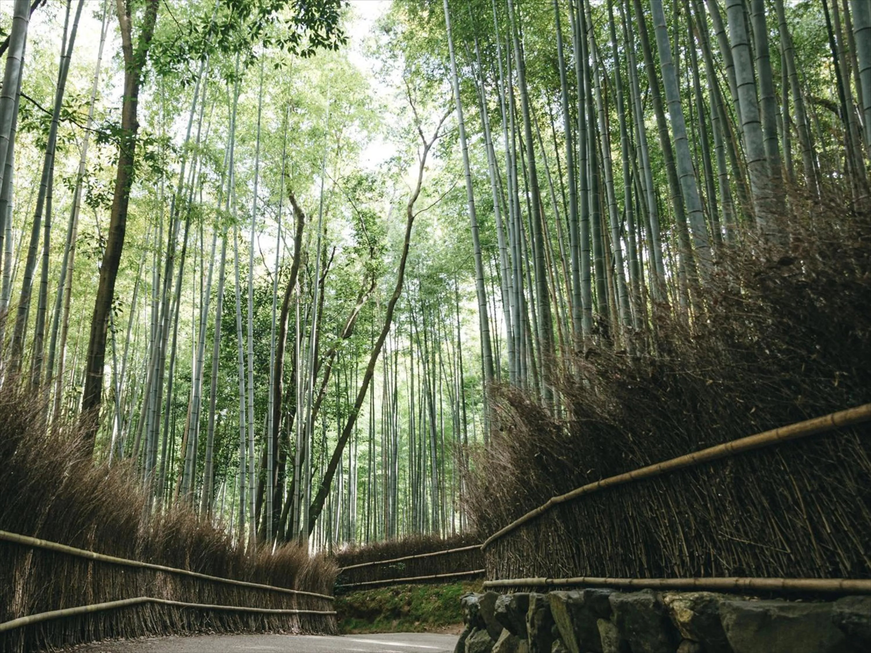Nearby landmark in HANARE by Tokyu Stay Kyoto Sanjo