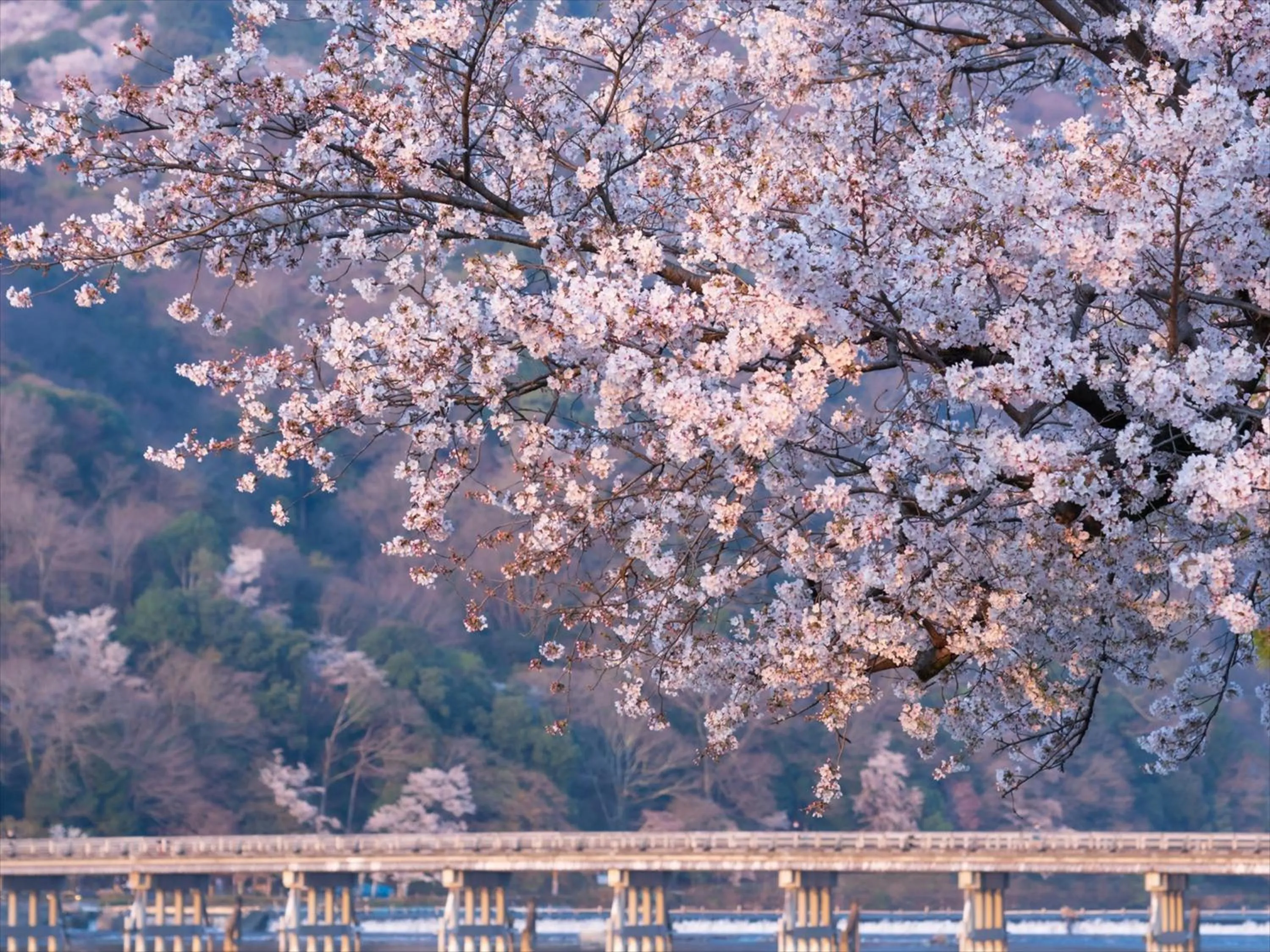 Nearby landmark in HANARE by Tokyu Stay Kyoto Sanjo
