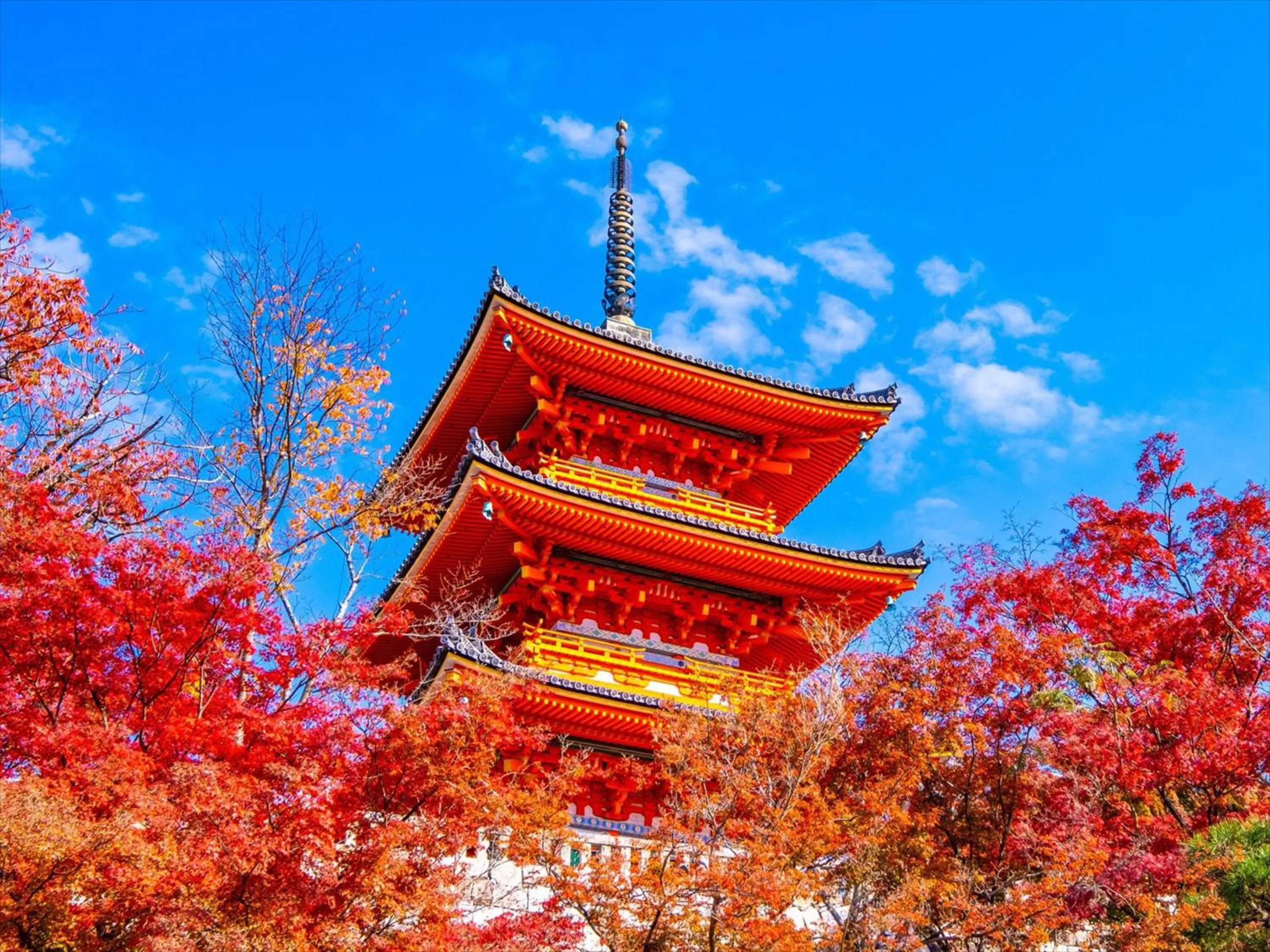 Nearby landmark in HANARE by Tokyu Stay Kyoto Sanjo