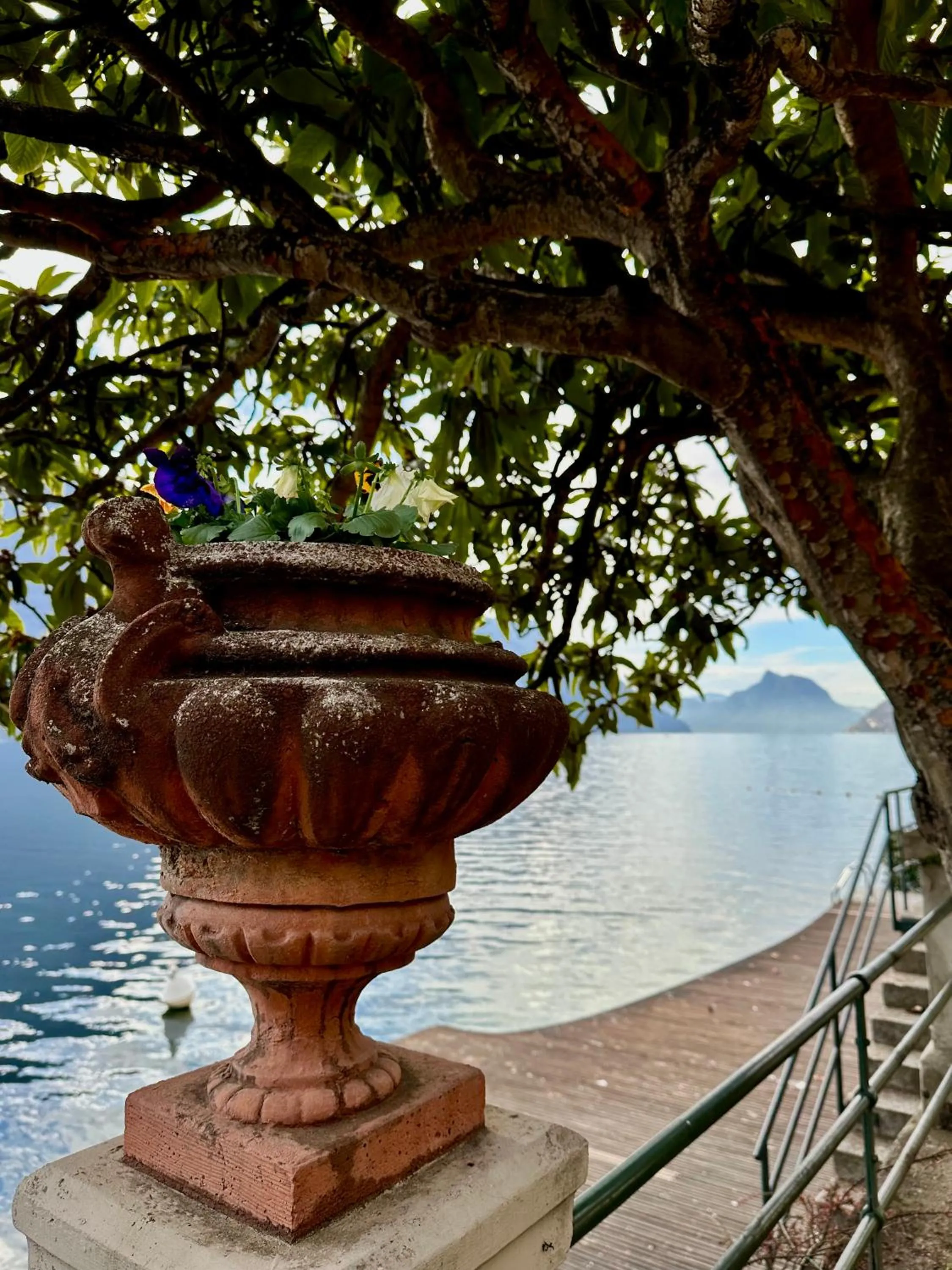 Hotel Stella D'Italia