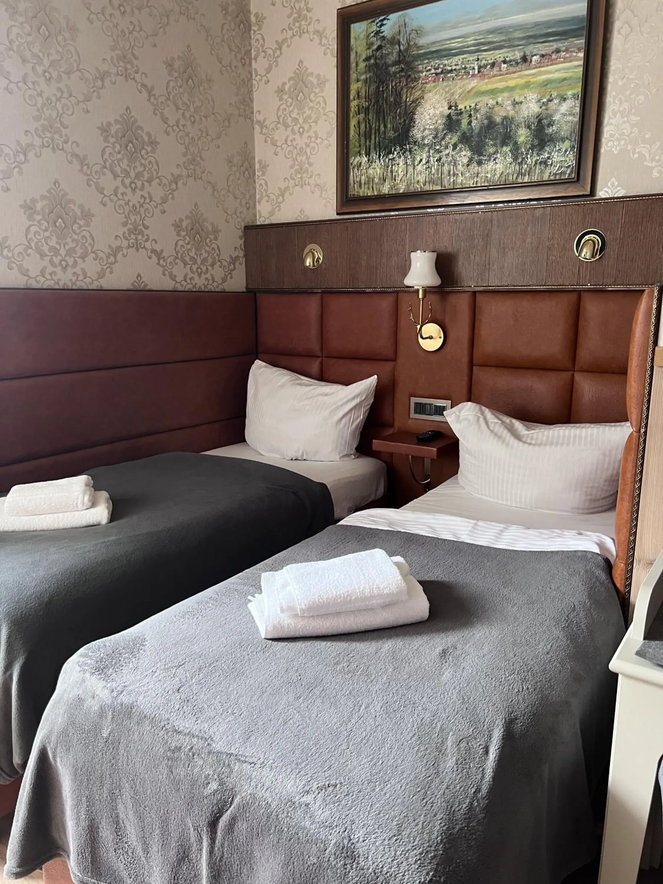Twin Room - single occupancy in Hotel Zum Lamm Twin Room - single occupancy in Hotel Zum Lamm