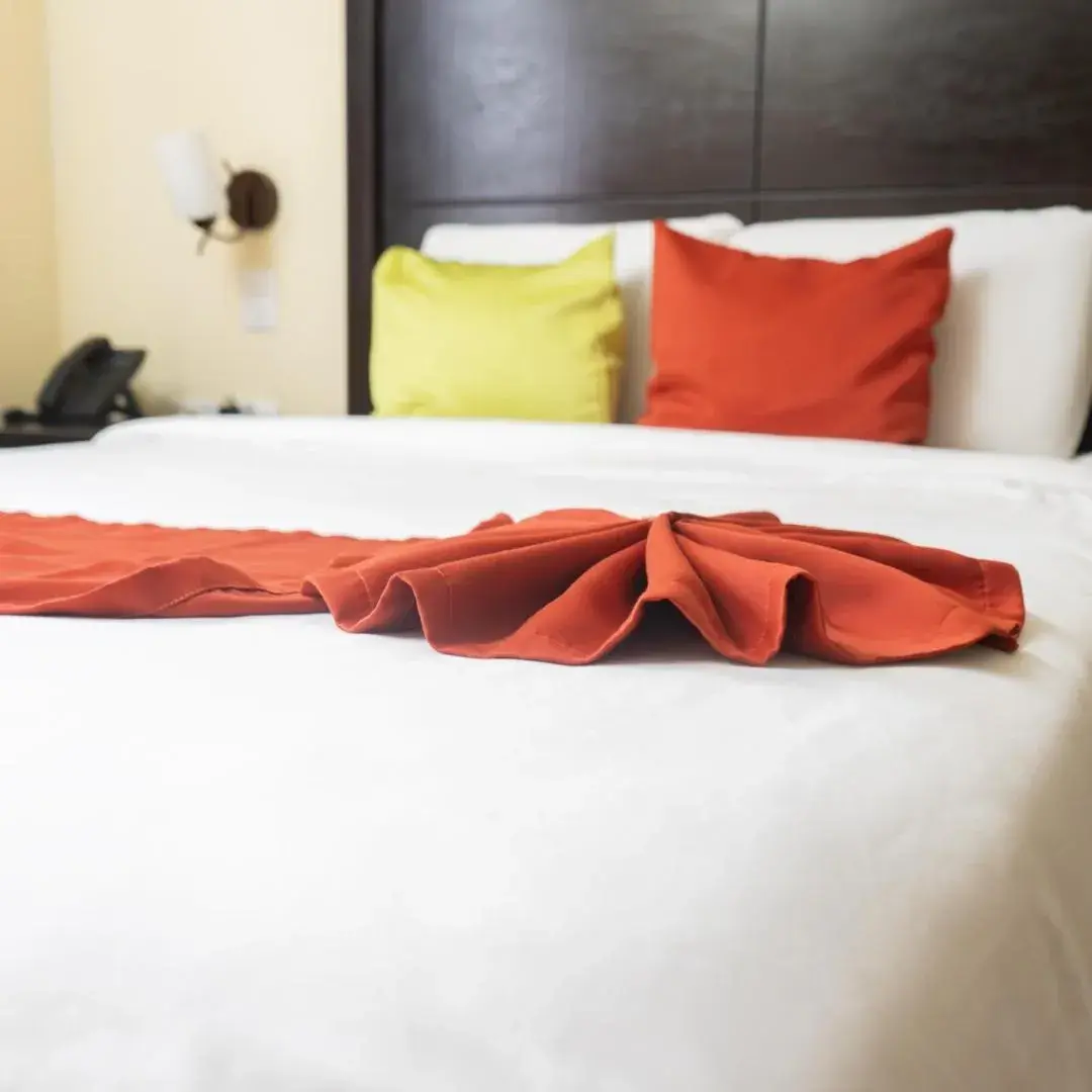 Classic Single Room in Hotel Las Hamacas Classic Single Room in Hotel Las Hamacas