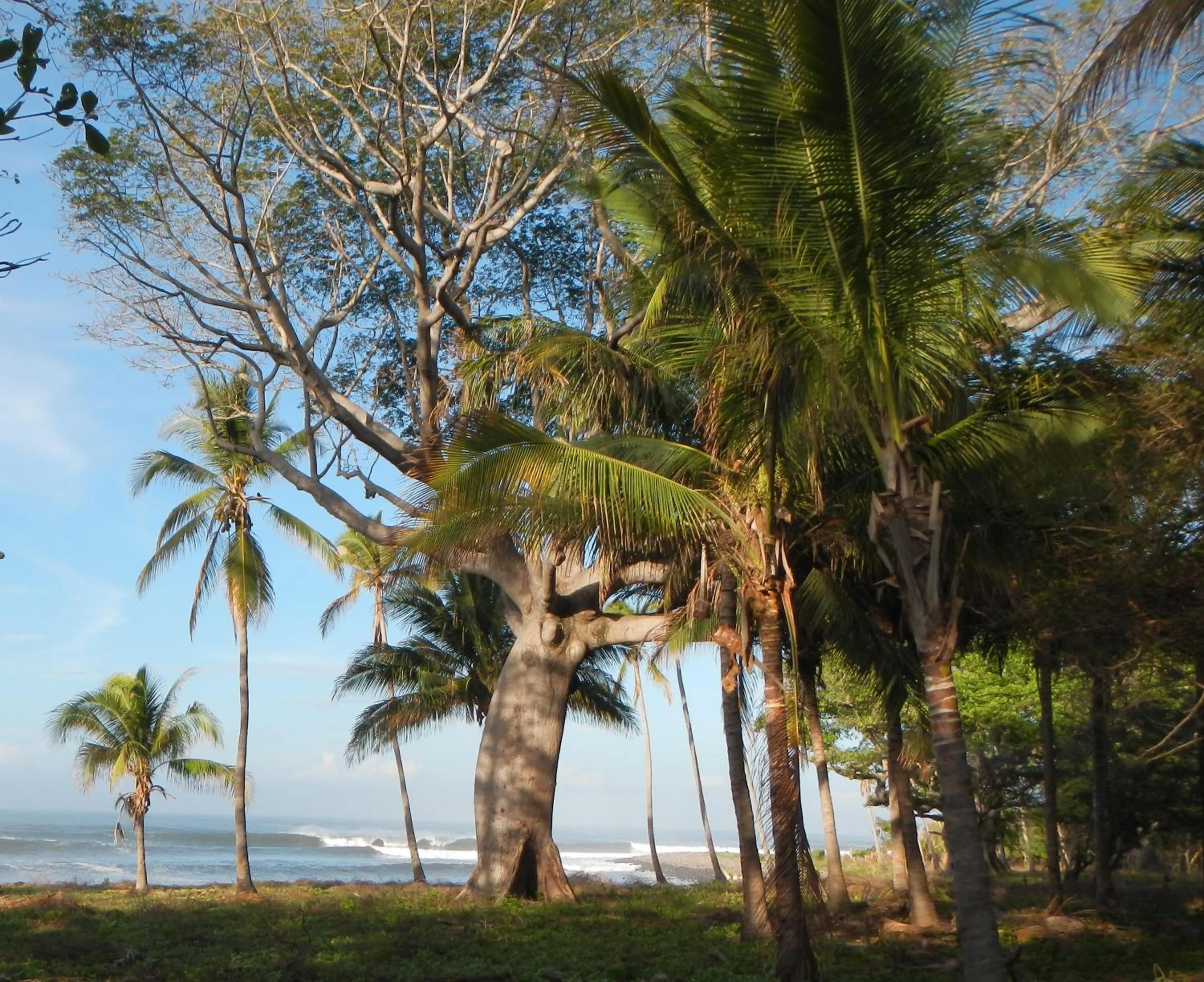 Day in Punta Roca Surf Resort