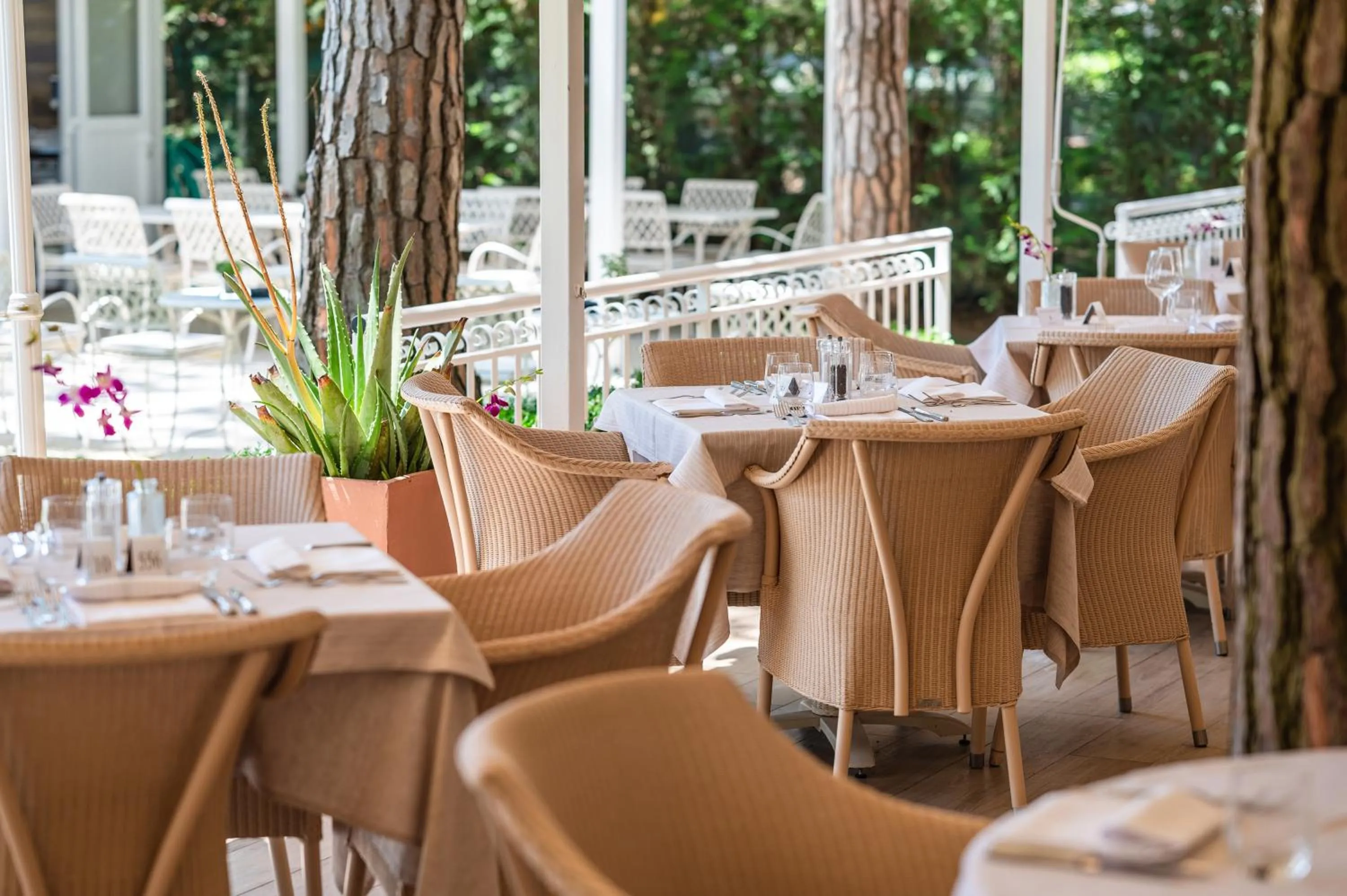 Restaurant/places to eat in Park Hotel Maracaibo