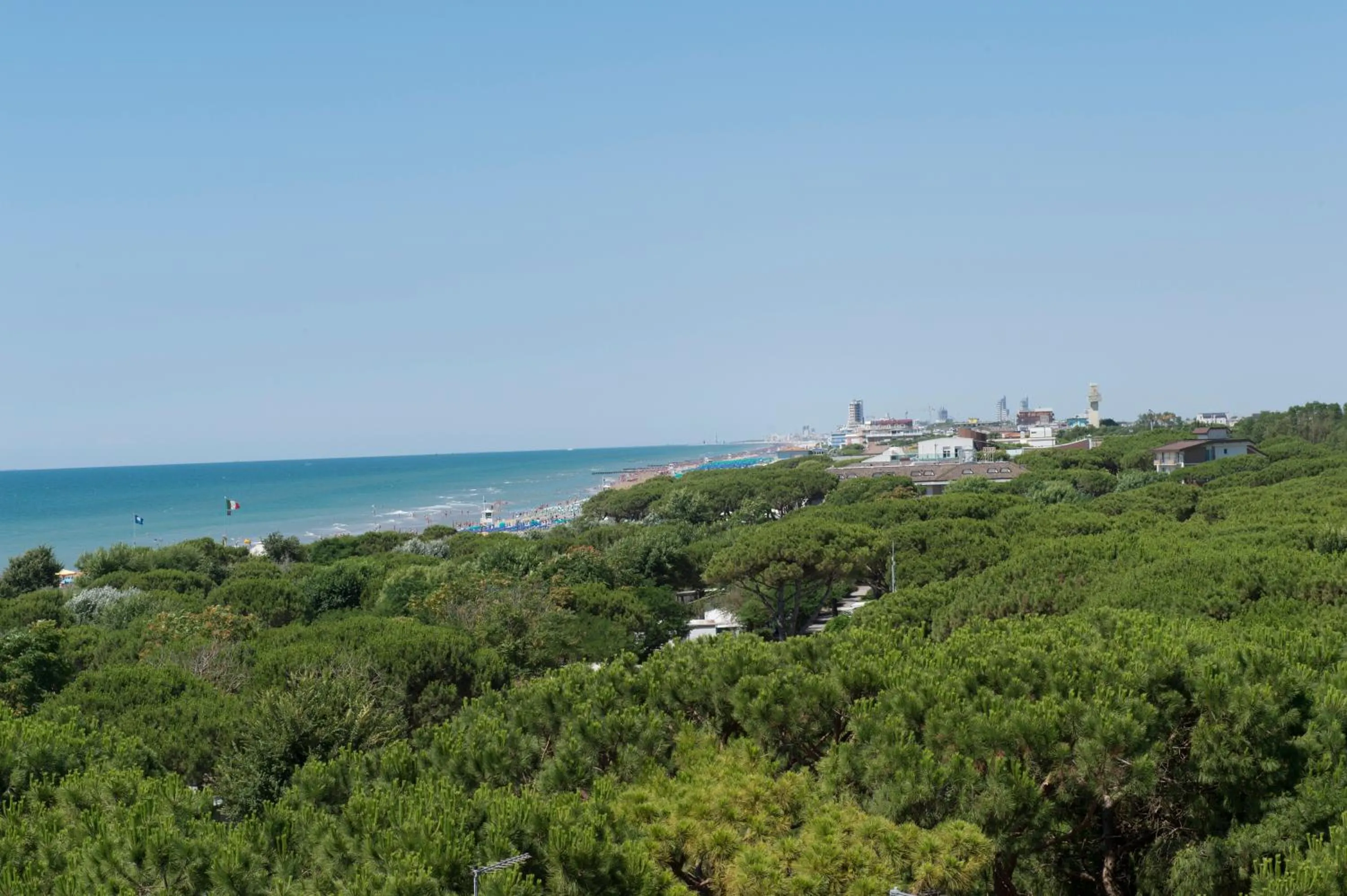 Natural landscape in Park Hotel Maracaibo