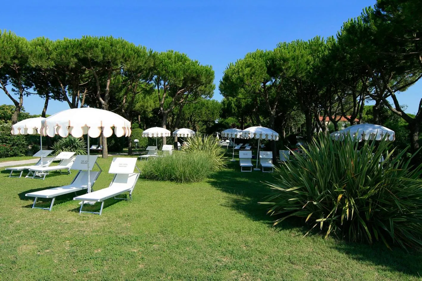 Garden in Park Hotel Maracaibo