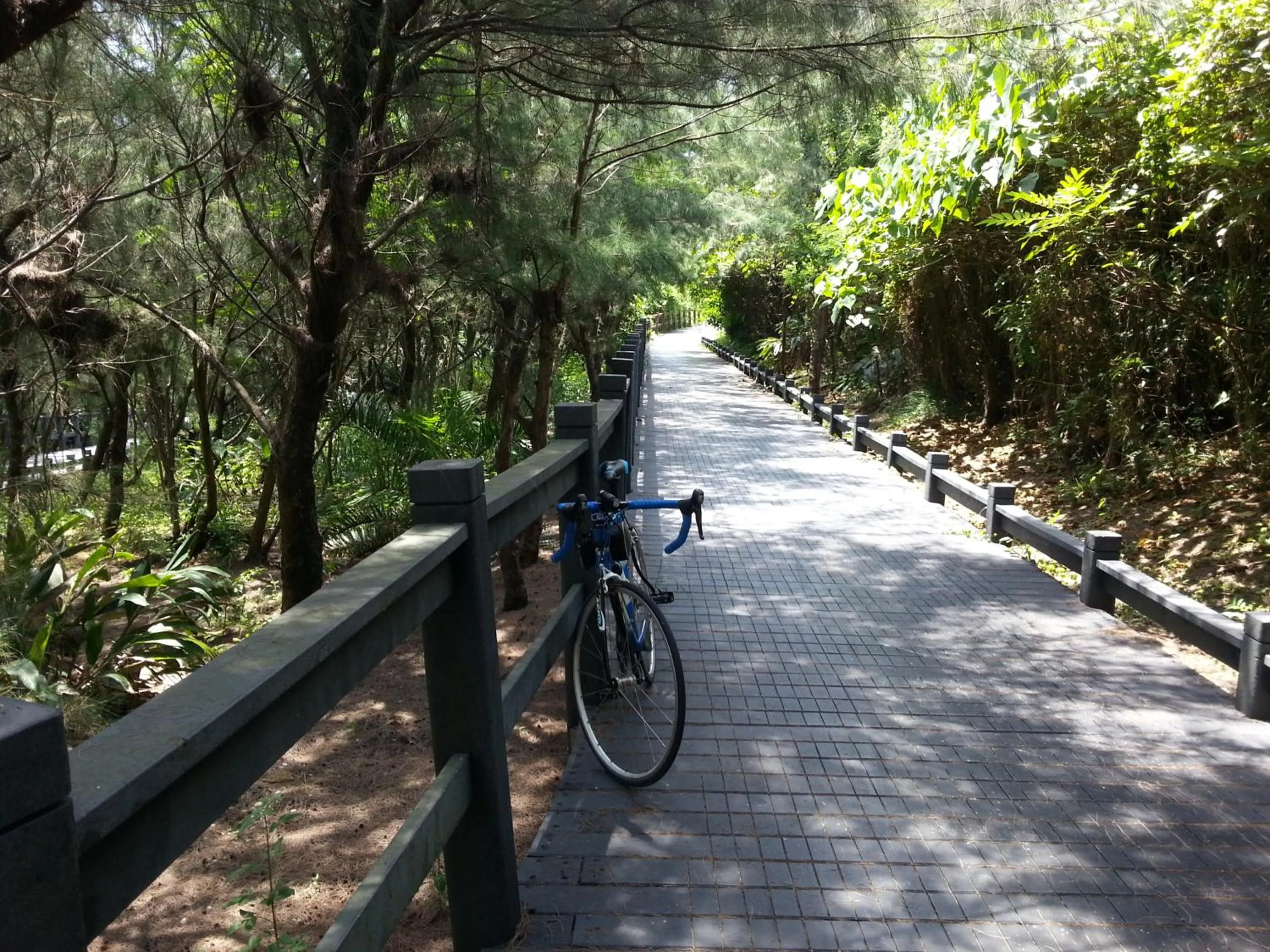 Biking in Hualien HOLO Hostel