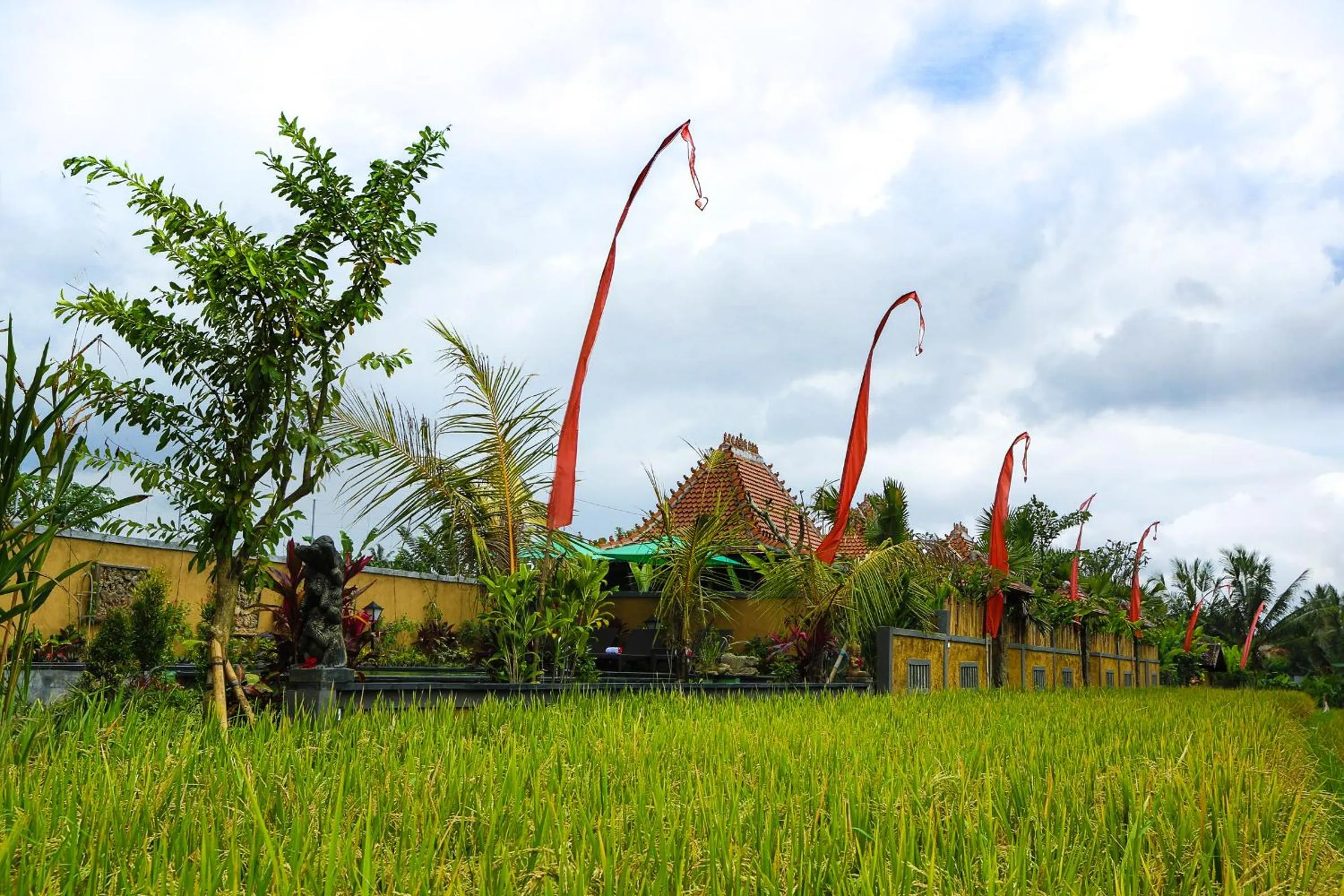 Garden in Villa Nini
