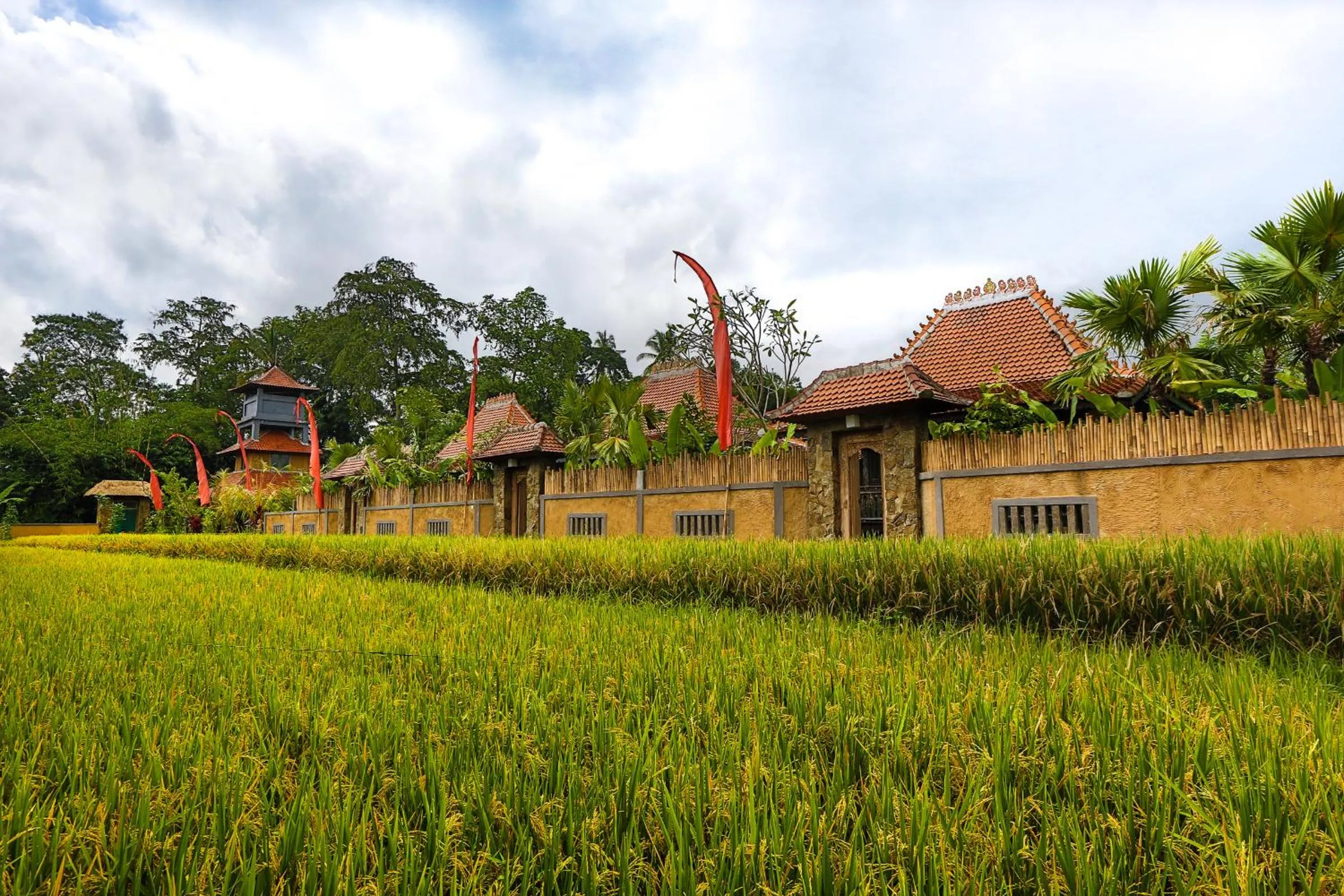 Garden in Villa Nini