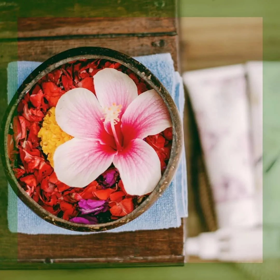 Spa and wellness centre/facilities in Villa JJ and Spa Ubud