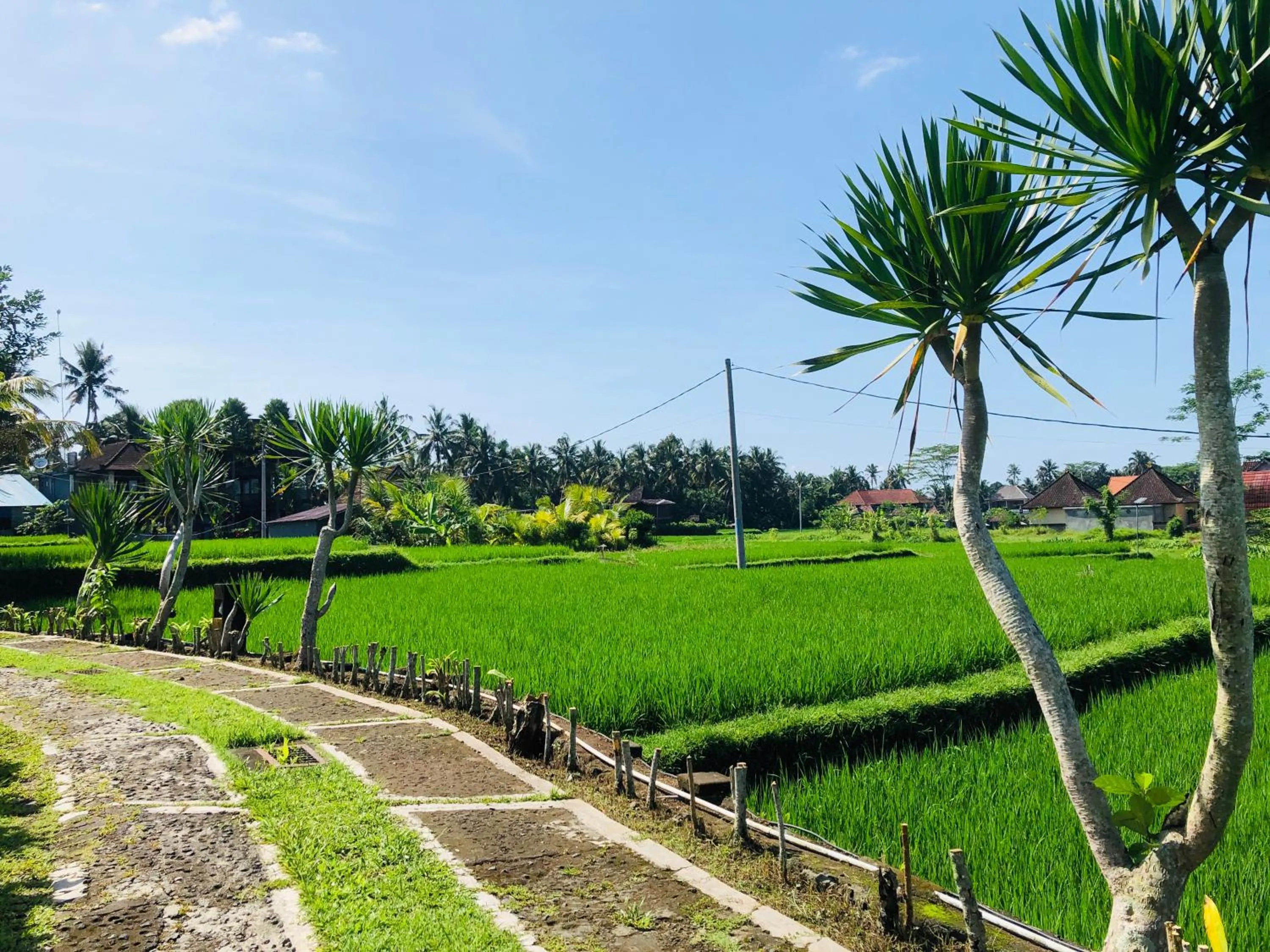 Day in Villa JJ and Spa Ubud