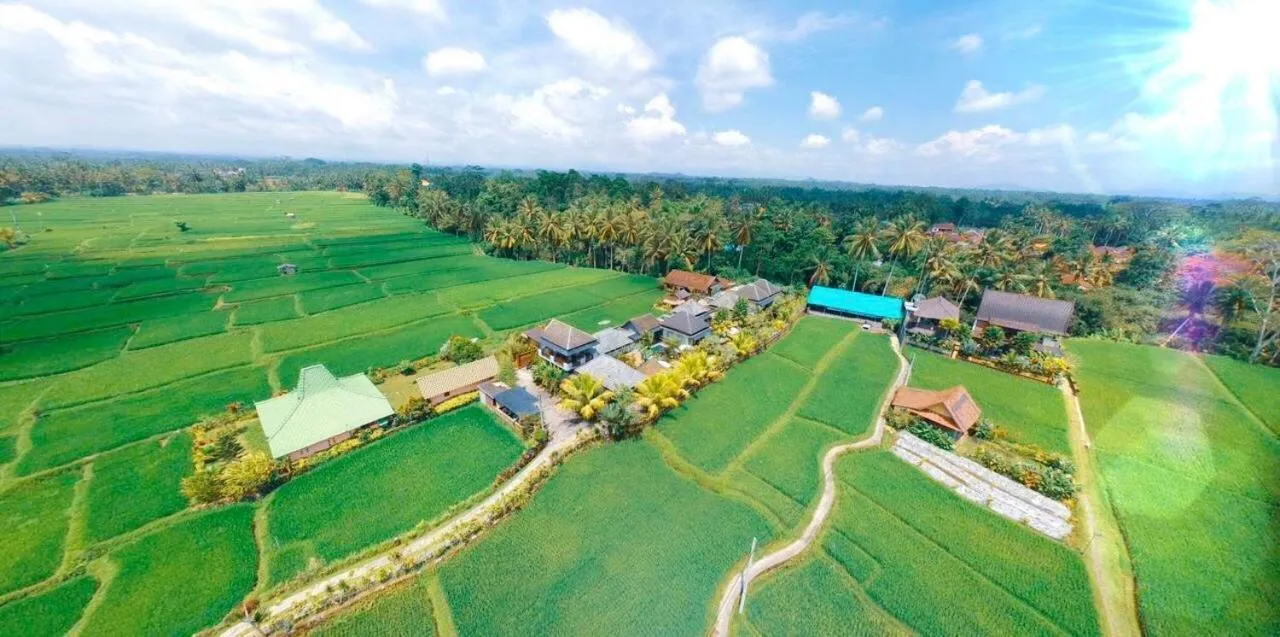 Bird's eye view in Villa JJ and Spa Ubud