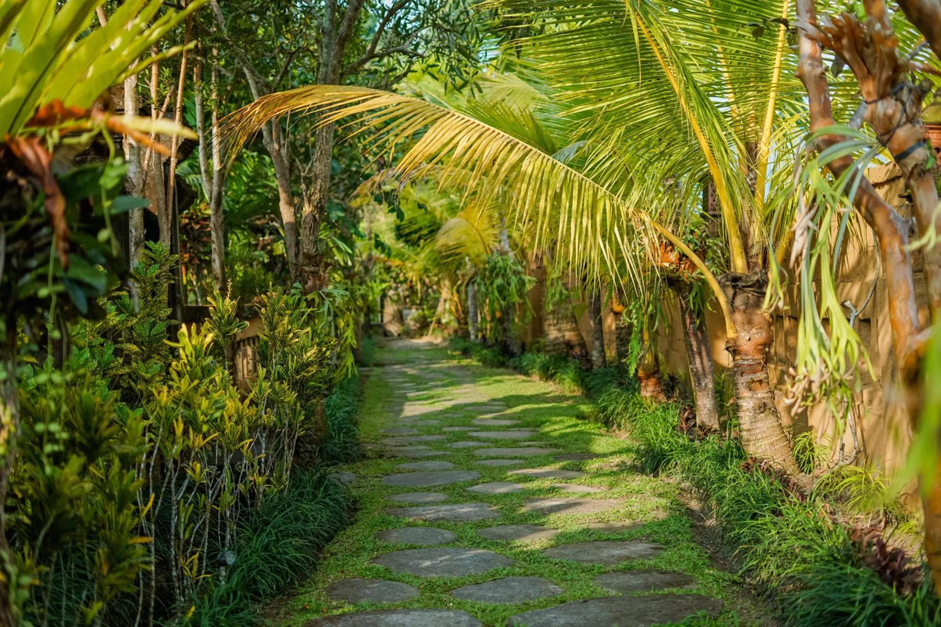 Natural landscape in Villa JJ and Spa Ubud