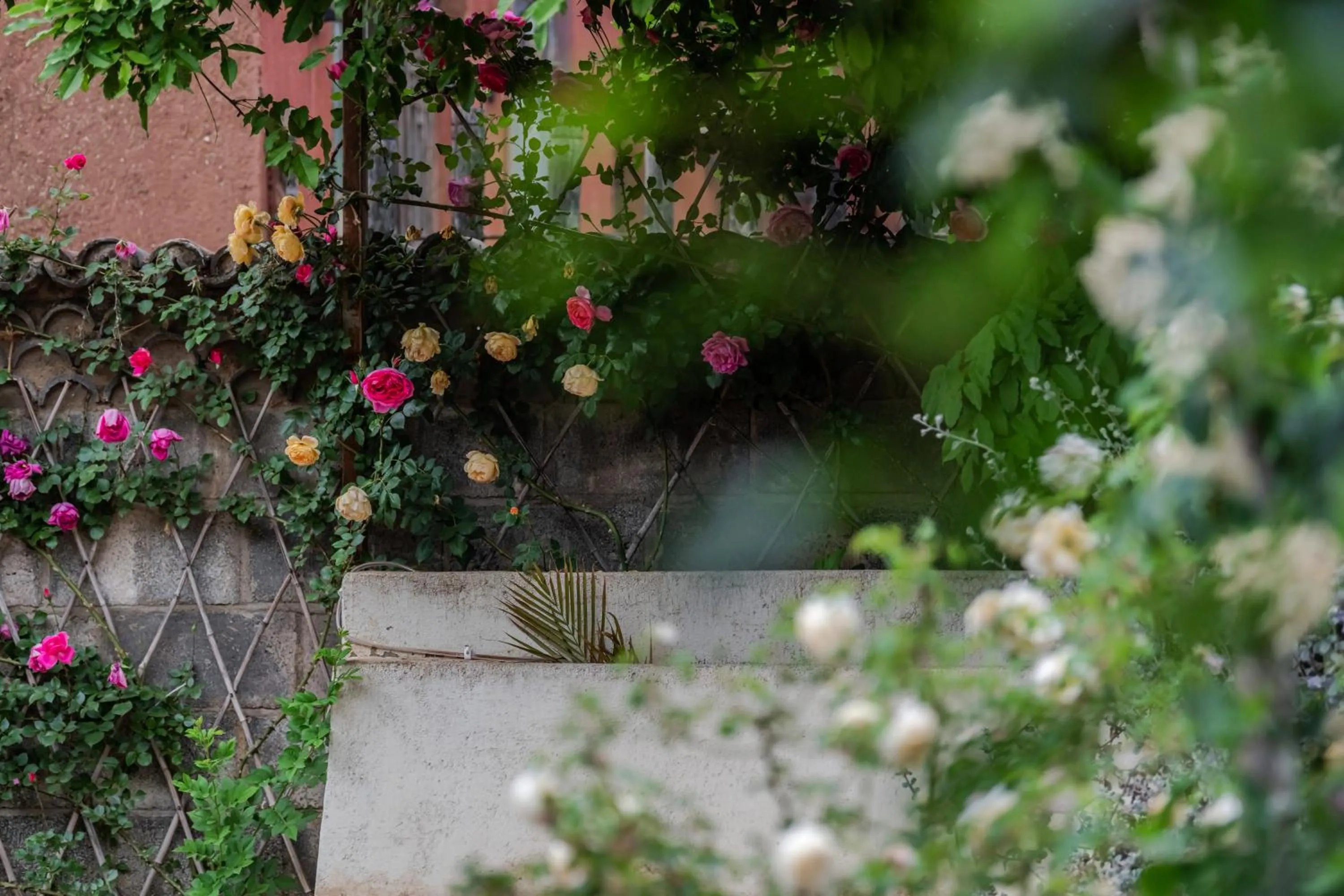 Baisha Flamingo Hotel