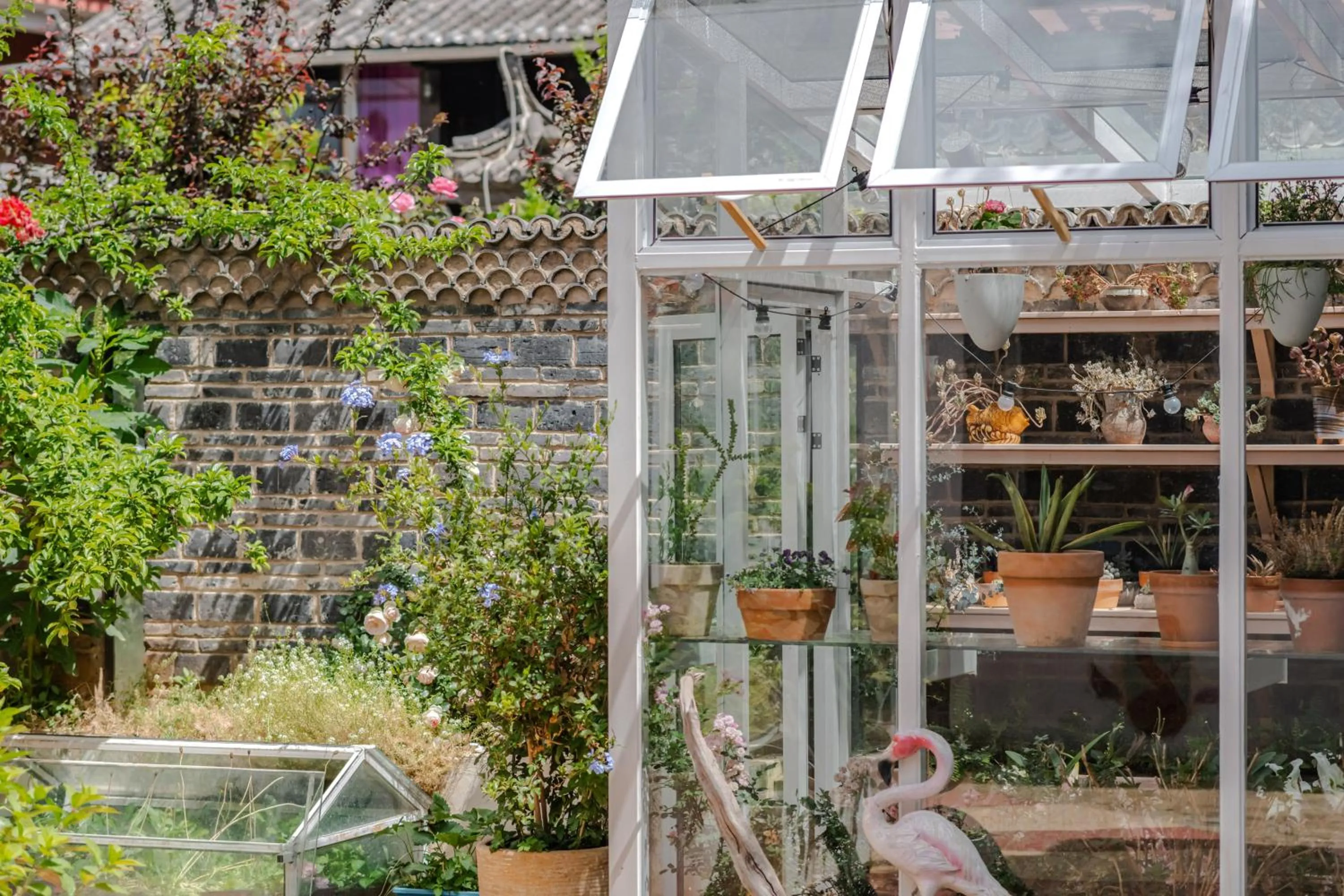 Baisha Flamingo Hotel