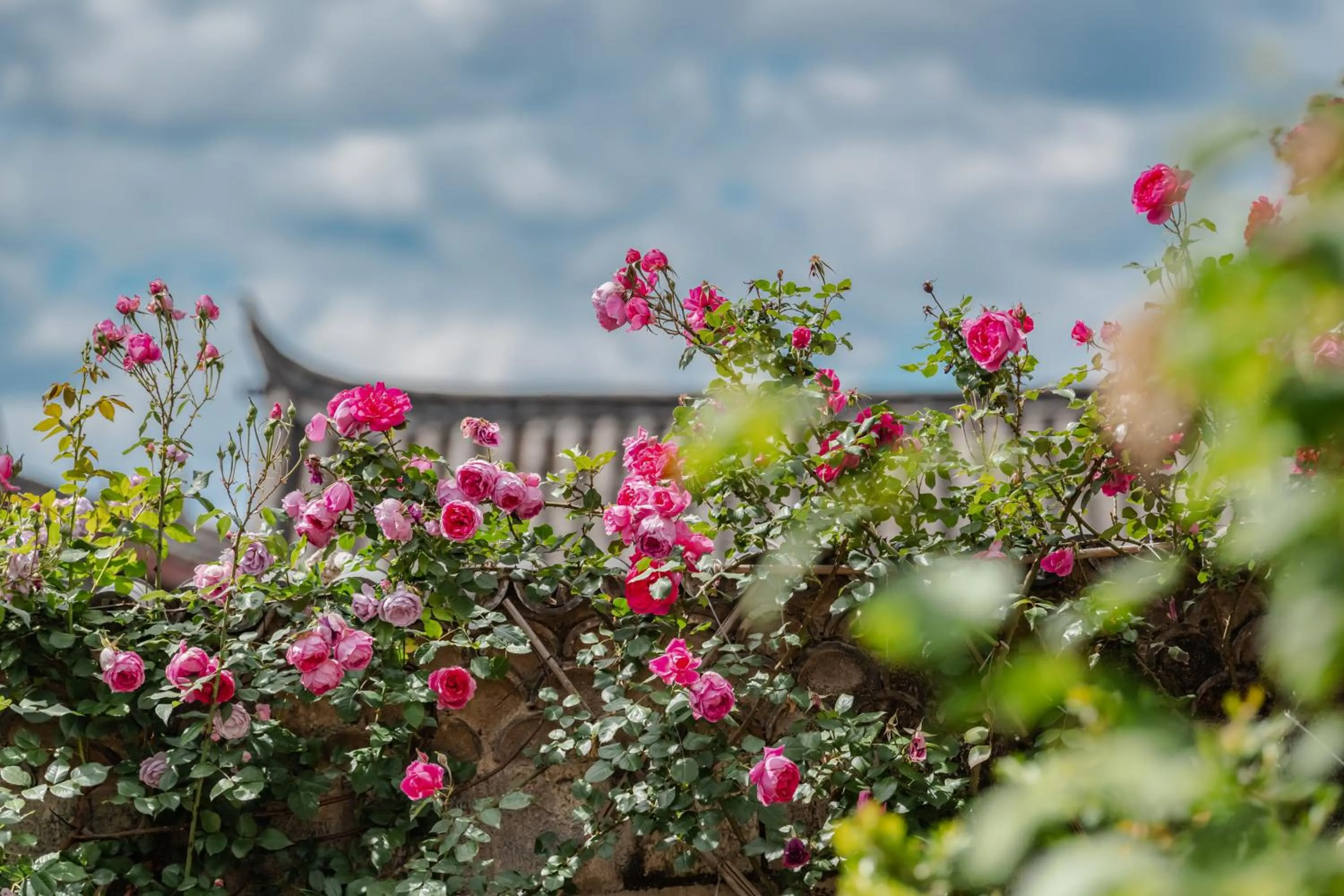 Baisha Flamingo Hotel