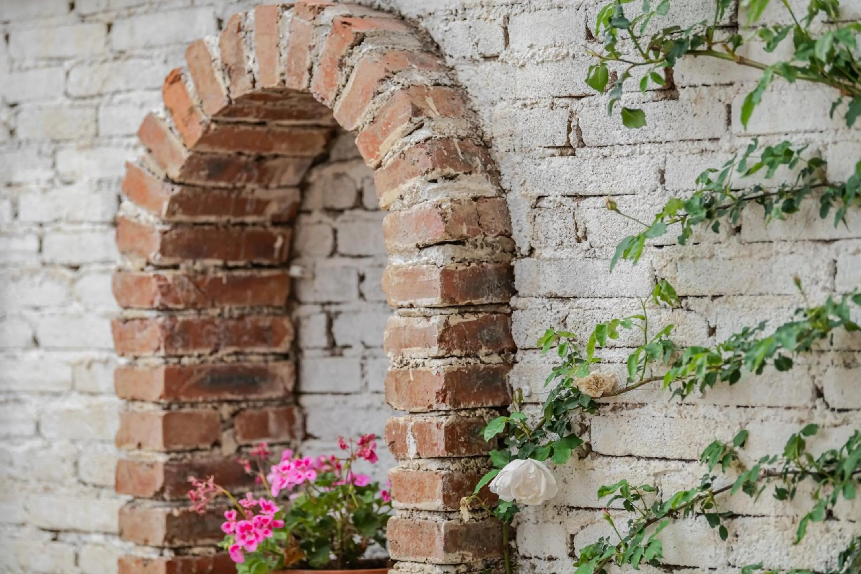 Baisha Flamingo Hotel