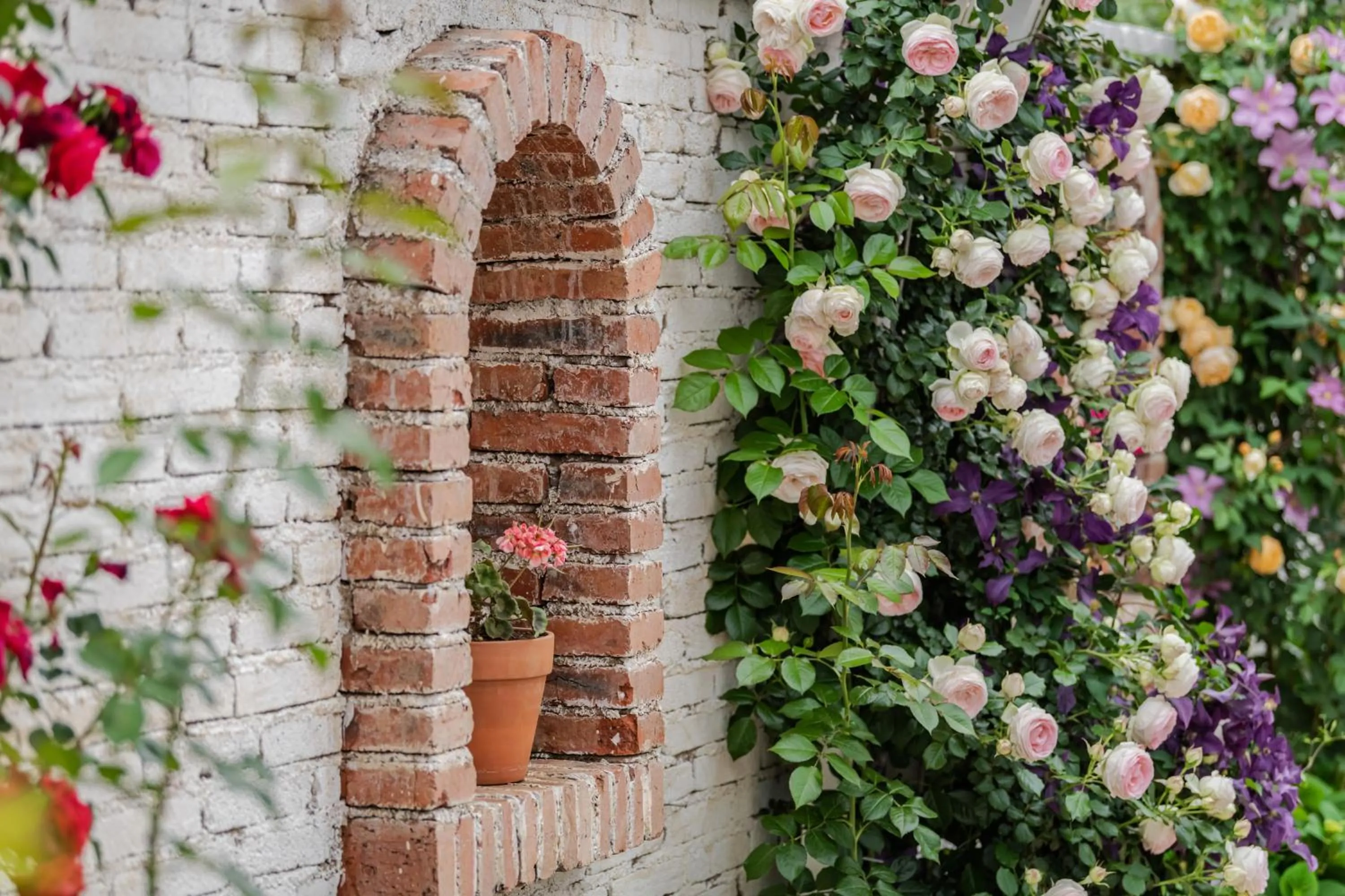 Baisha Flamingo Hotel