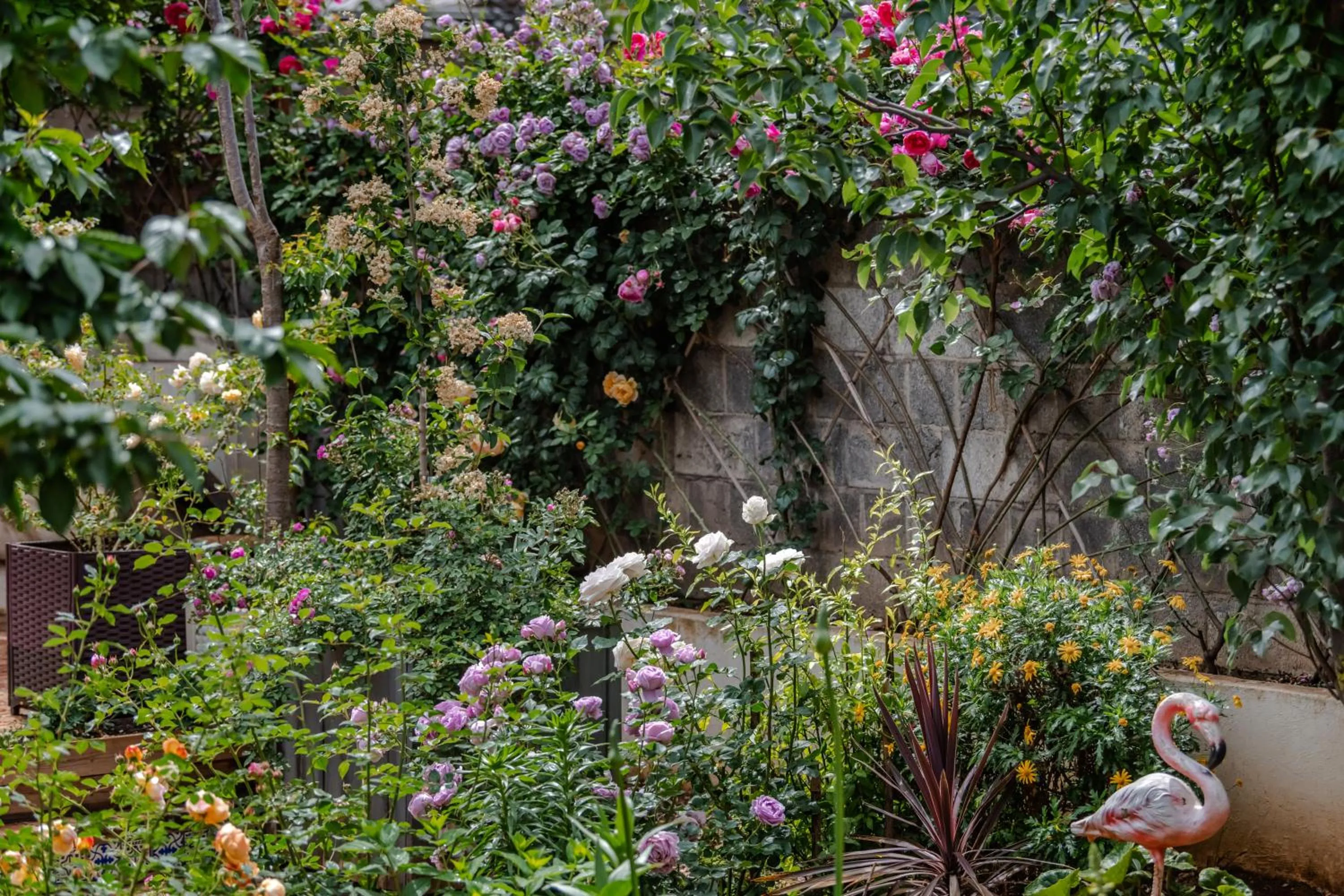 Baisha Flamingo Hotel