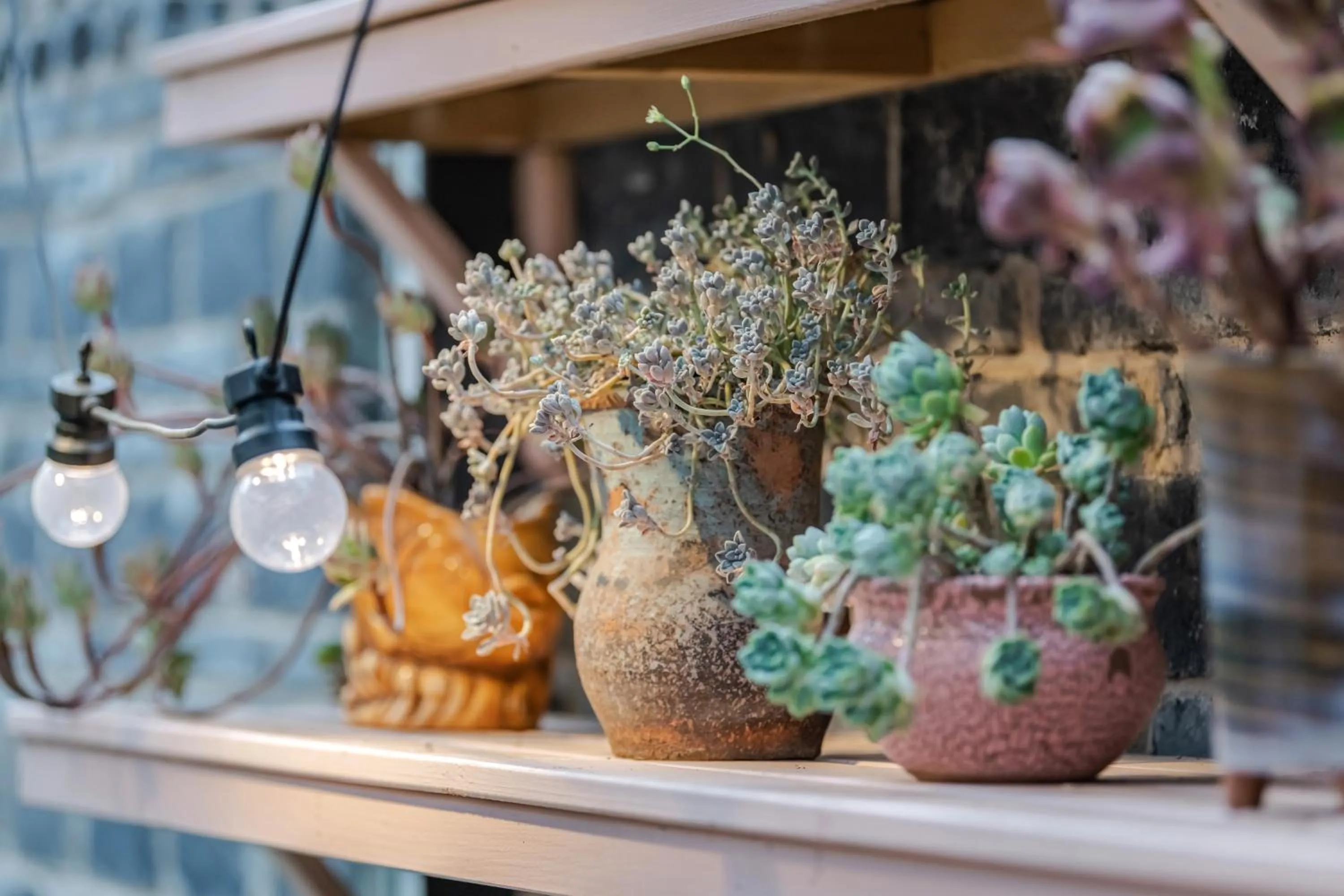 Baisha Flamingo Hotel