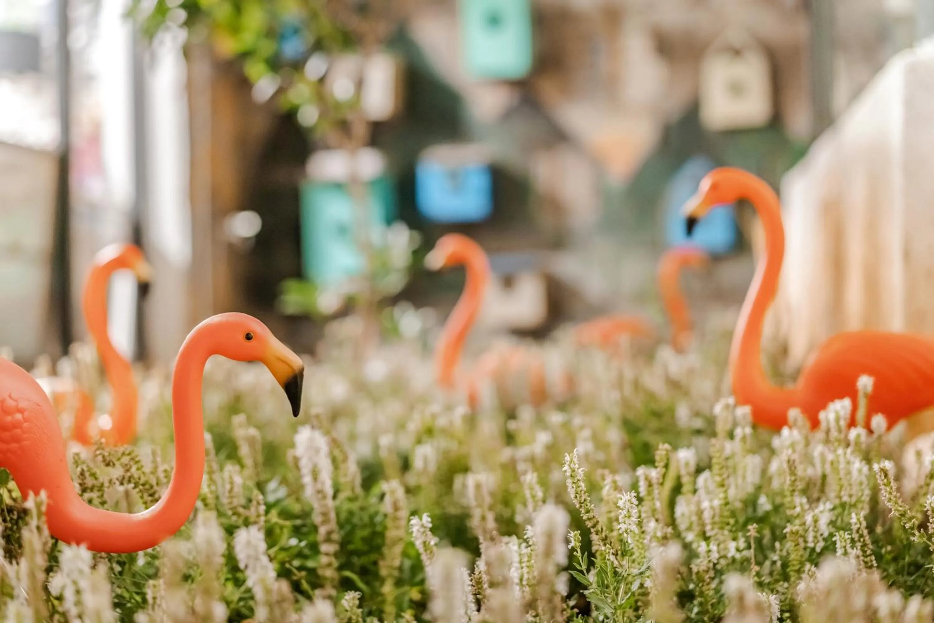 Baisha Flamingo Hotel