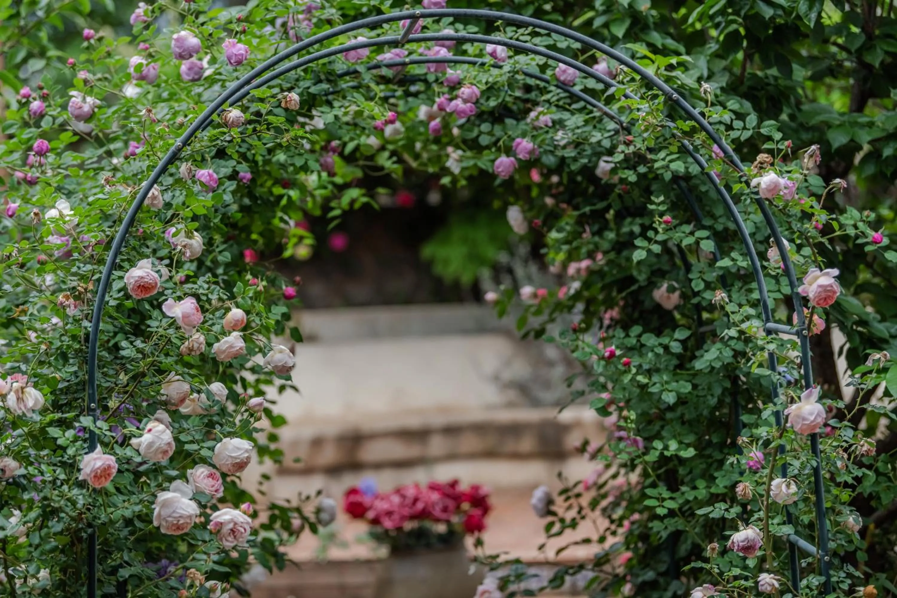 Baisha Flamingo Hotel