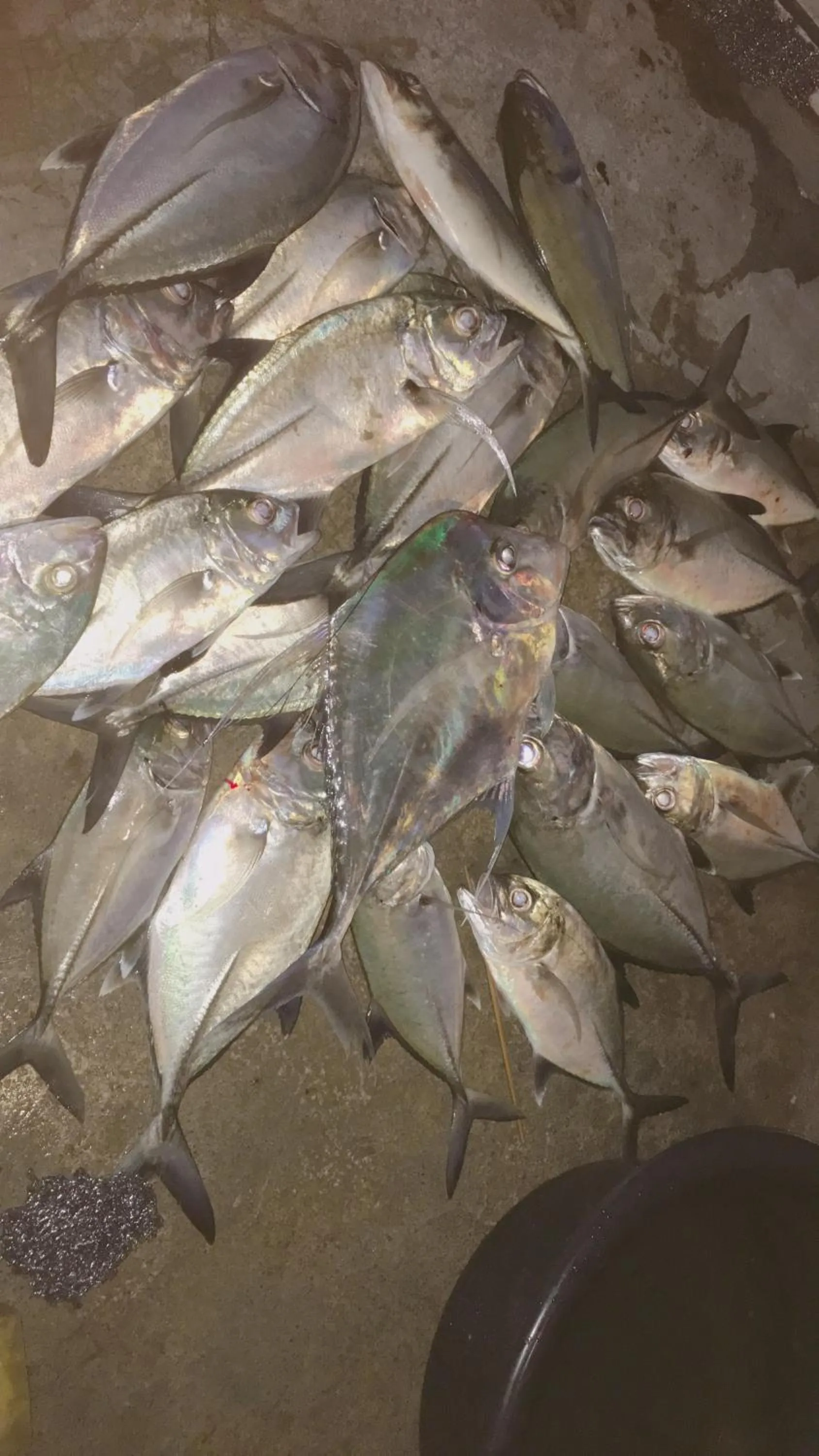 Fishing in Blue Lotus Resort