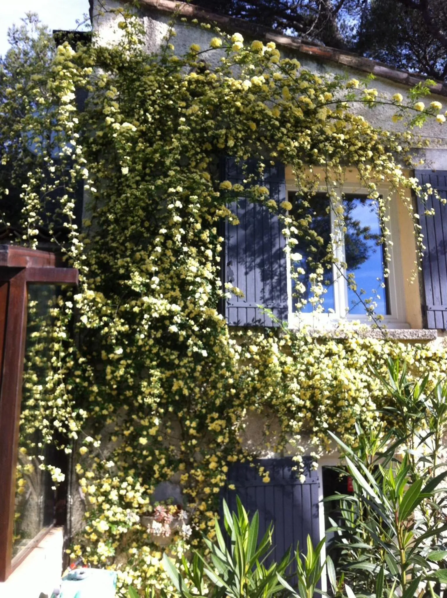 Facade/entrance in Inn 4 Bears