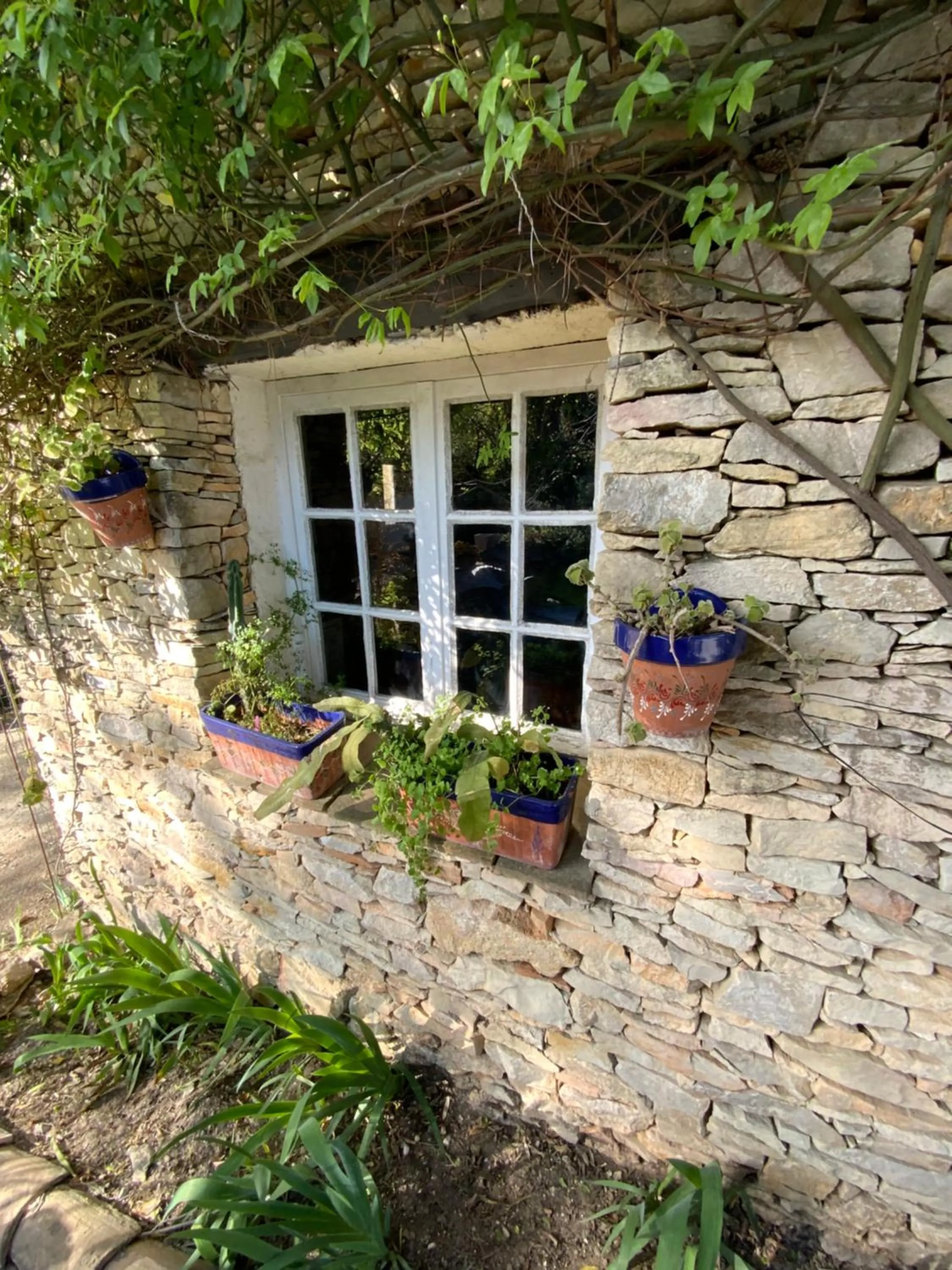 Inn 4 Bears