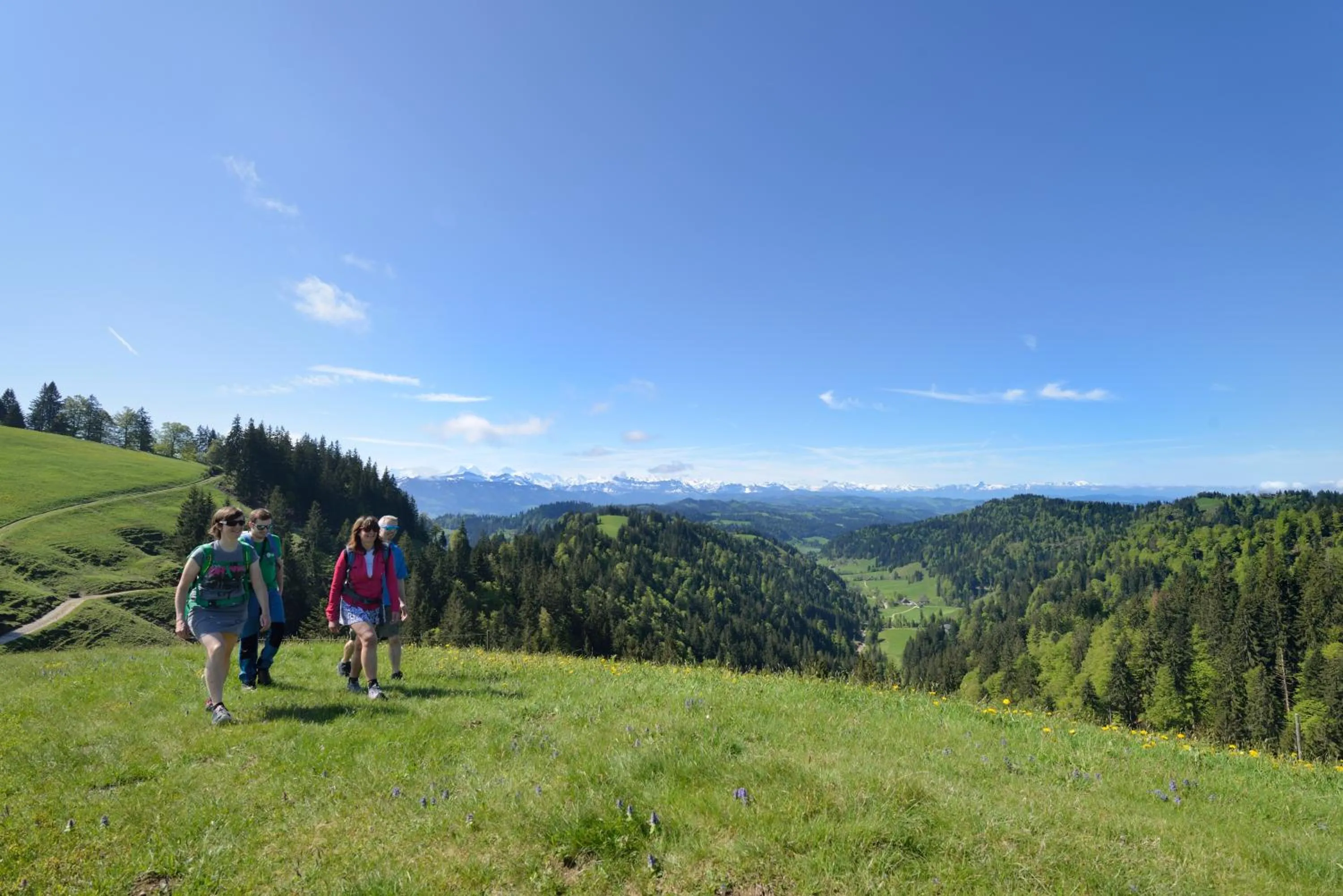 Summer in B&B Hotel Peter und Paul