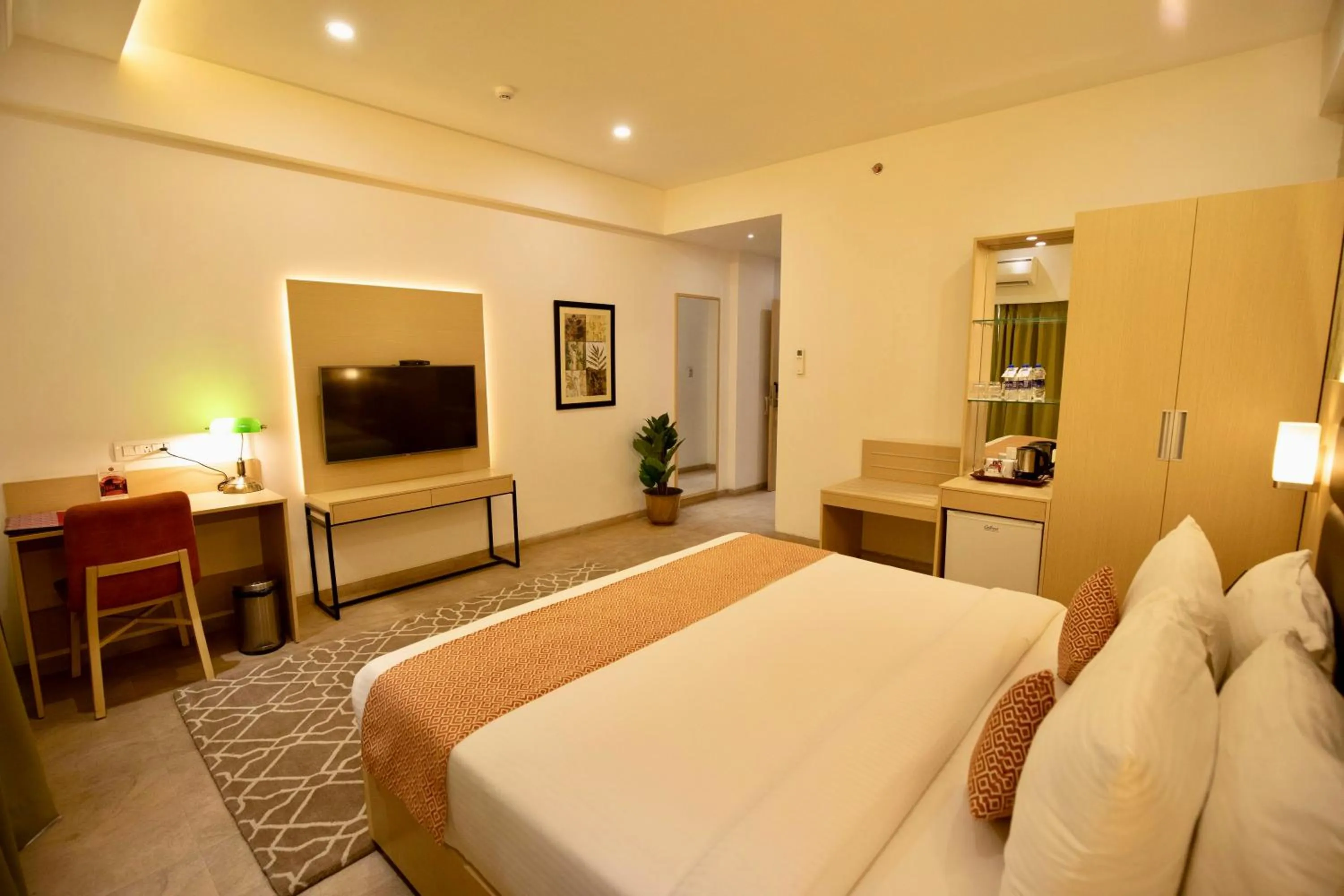 TV and multimedia in Shourya Residency