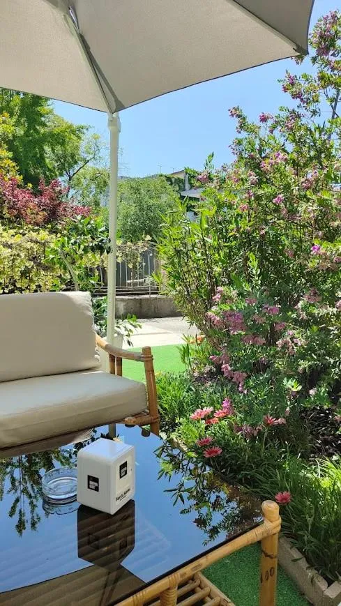 Garden view in Hotel Capri