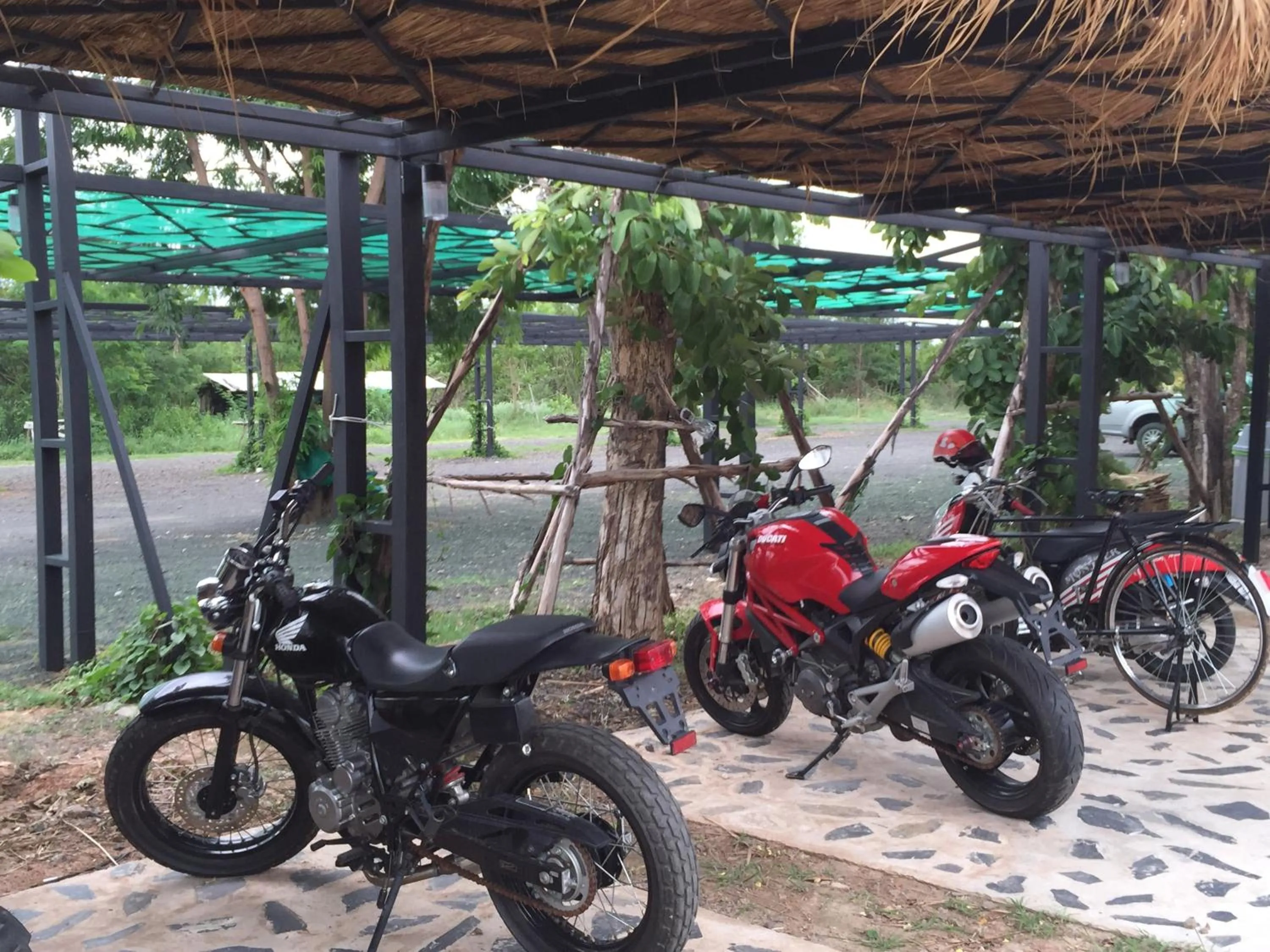 Cycling in Lemon Resort