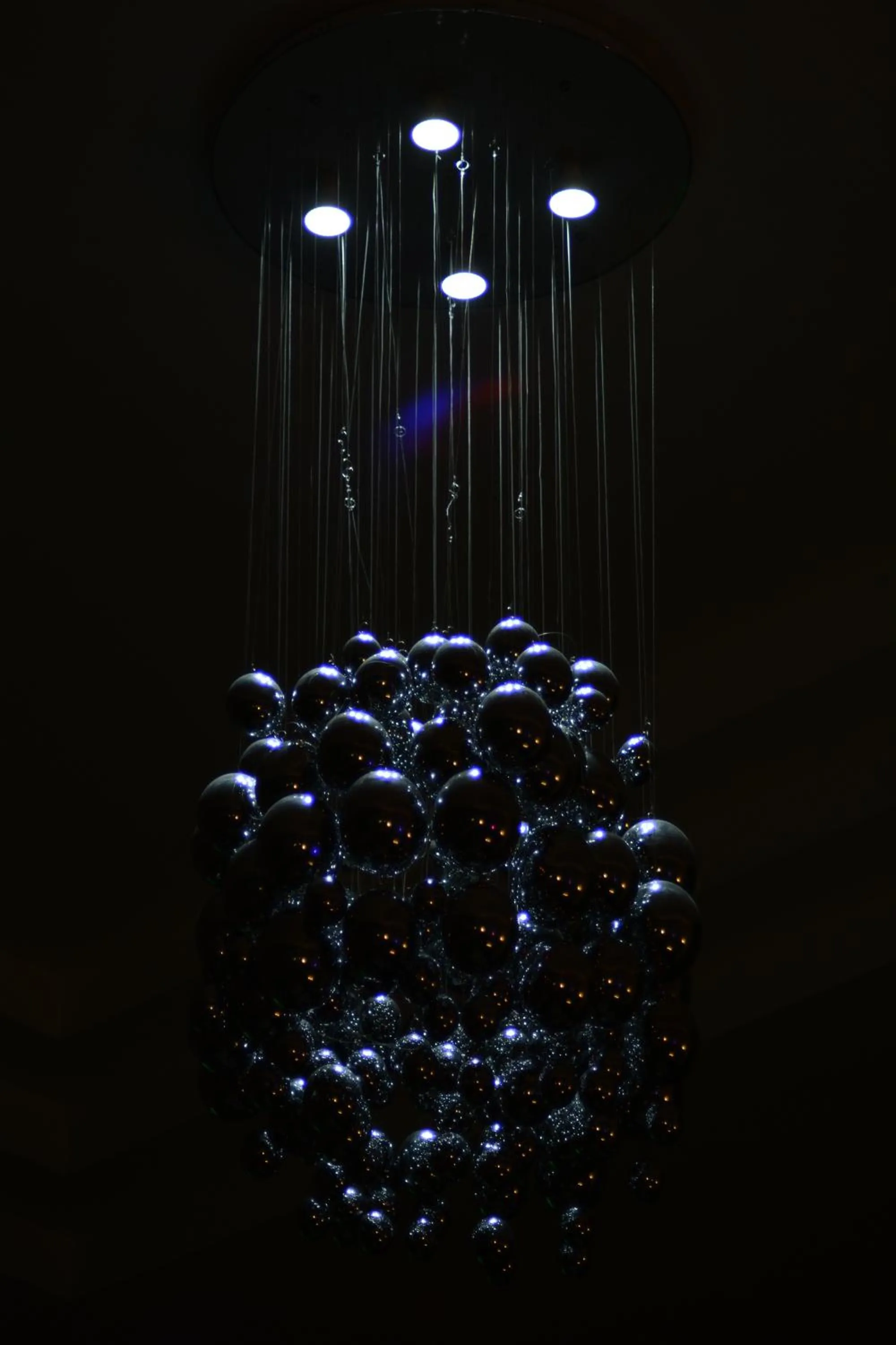 Entertainment in Hotel Vents Des Iles