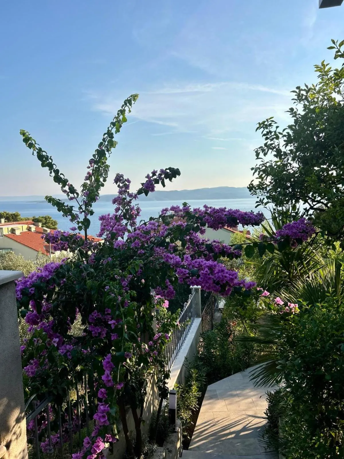 Apartments Lorenco