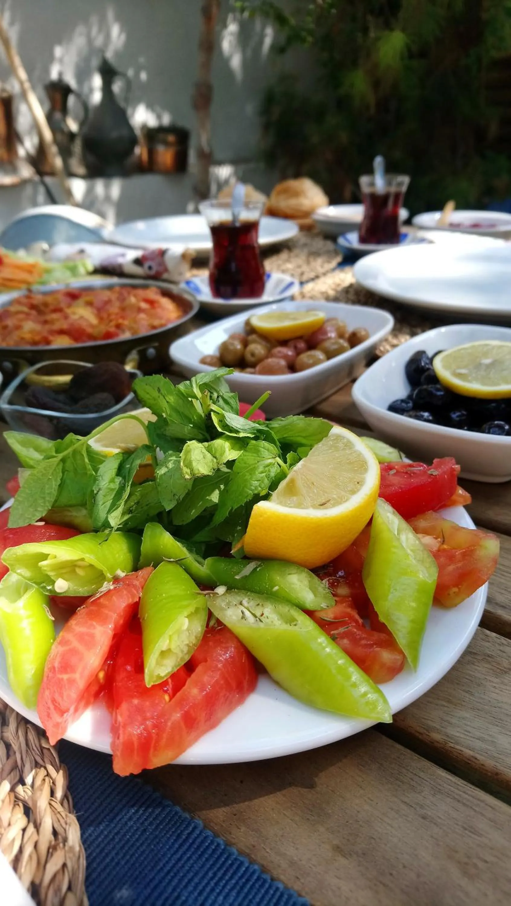 Garden in Alacati Sardunya Hotel