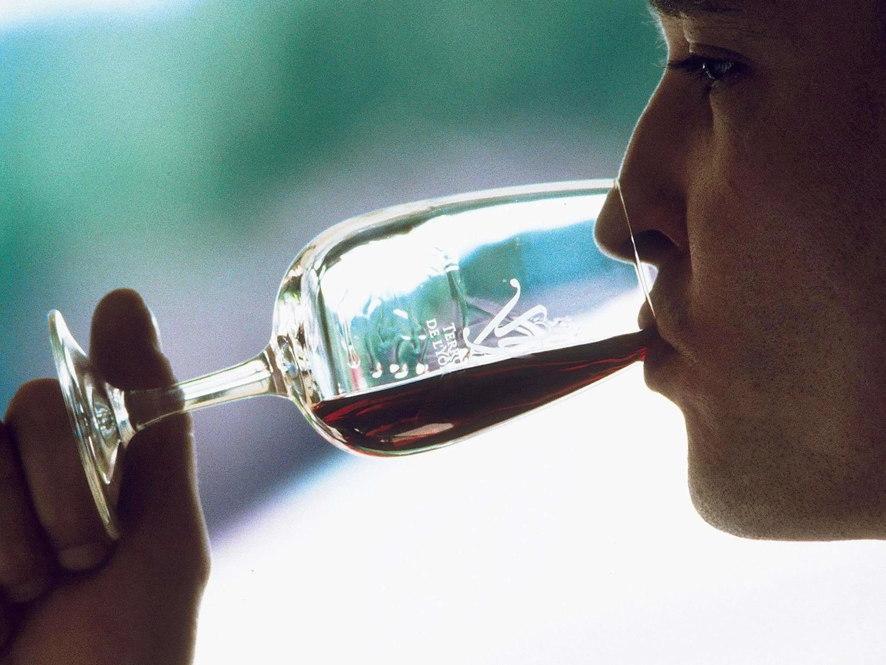 Lounge or bar in Mercure Toulouse Sud