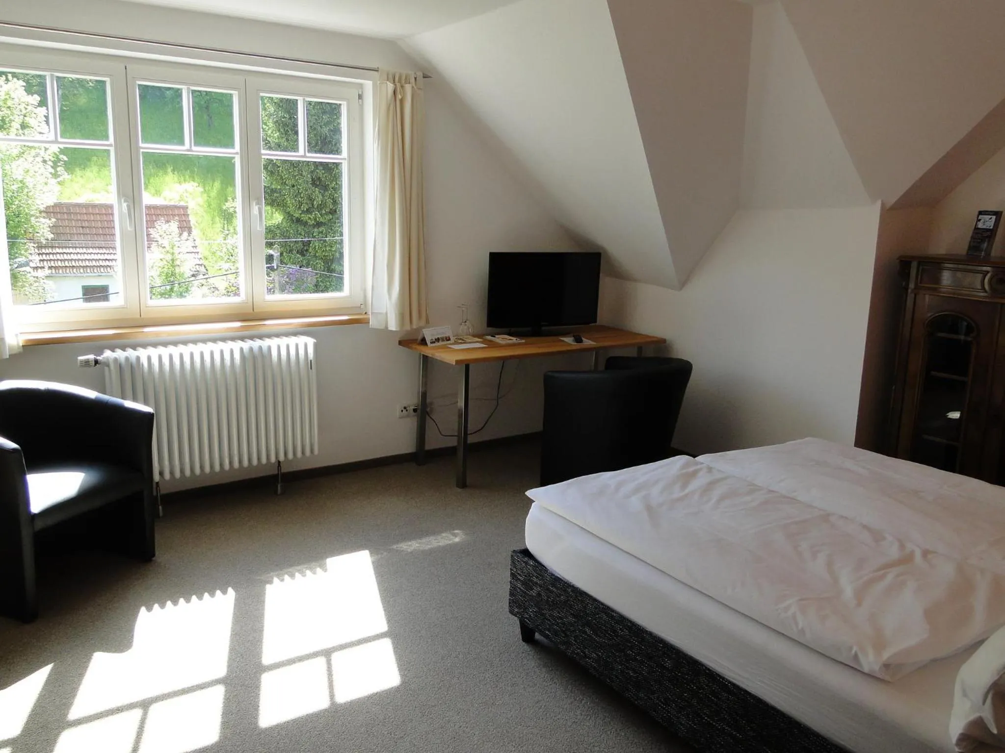 Double Room with Mountain View - single occupancy in Pension Villa am Burgberg
