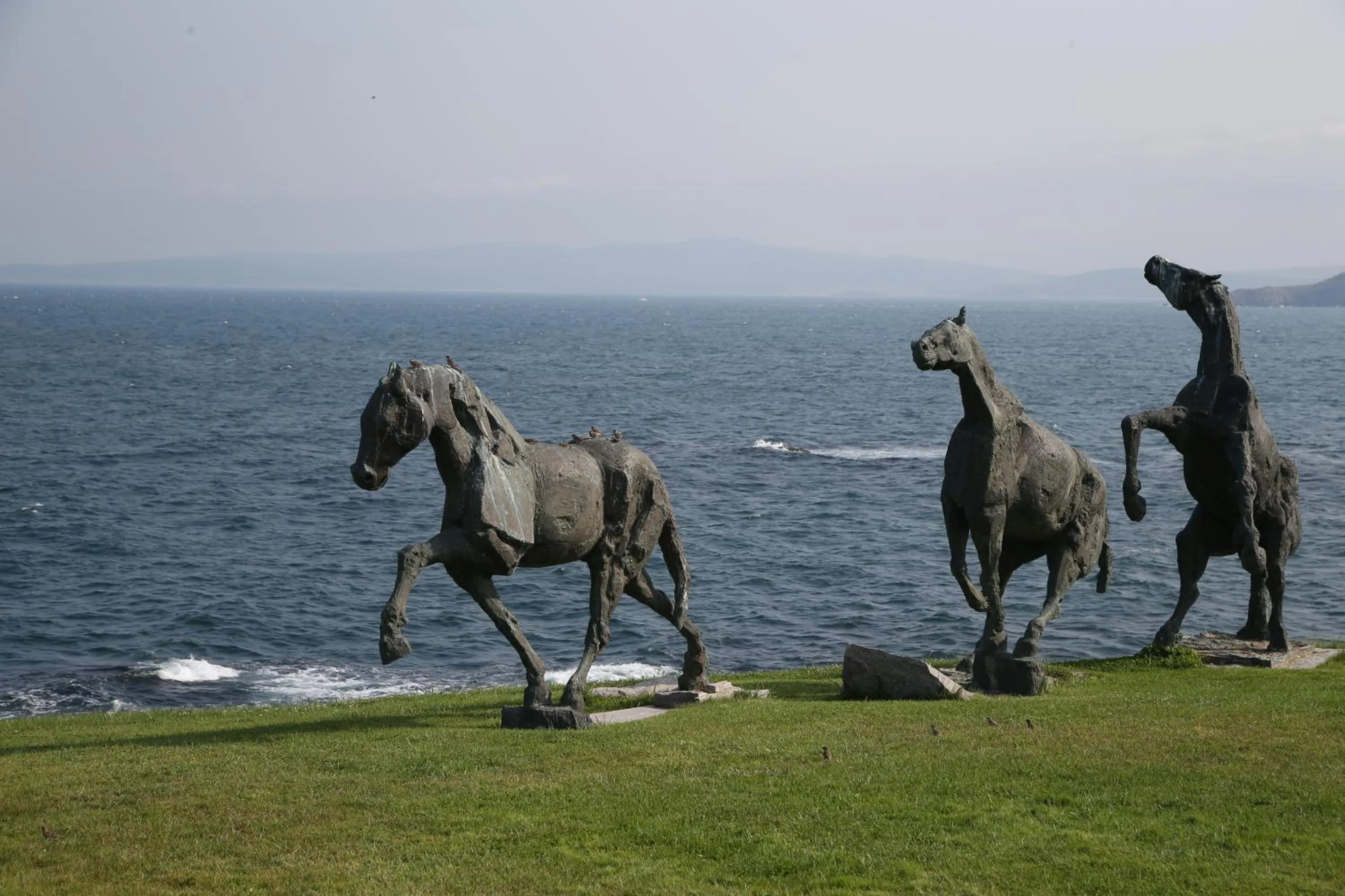 Garden in Art Complex Anel