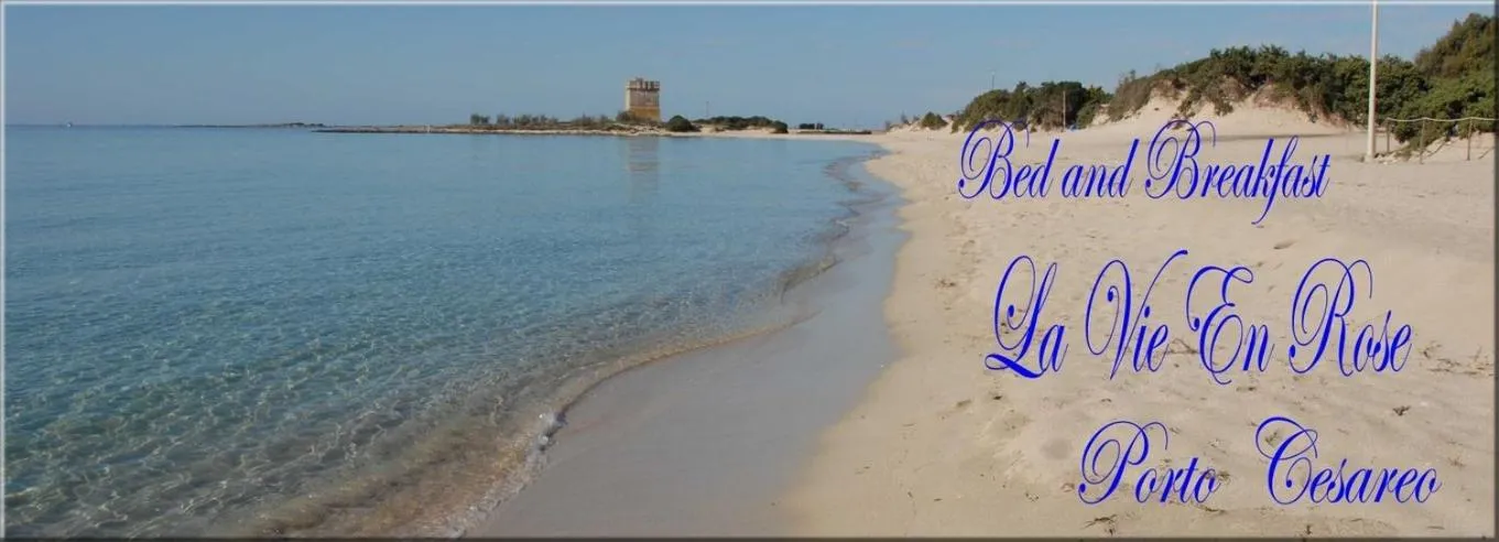 Text overlay in B&B Vie En Rose