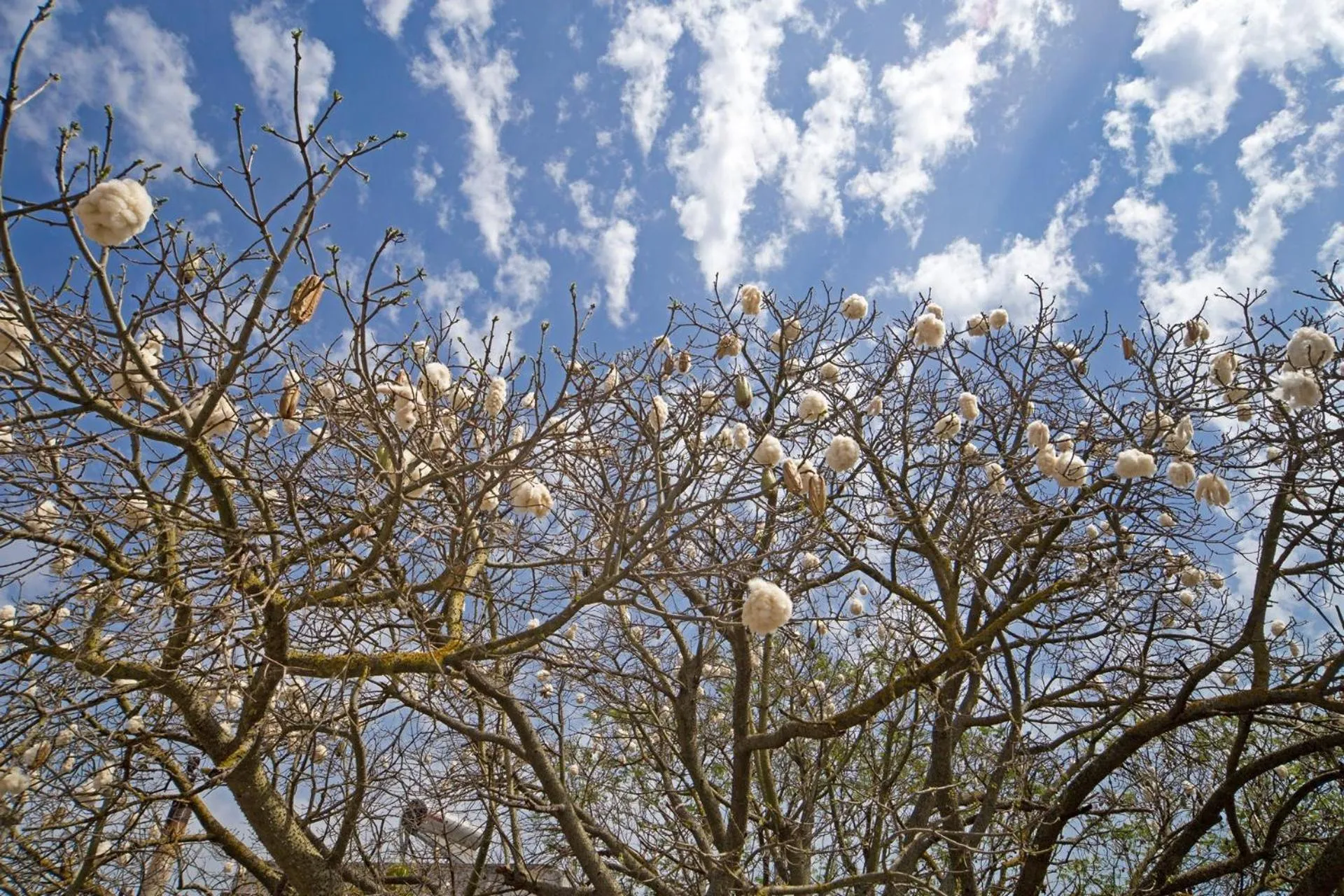 Garden view in Giardino Nascosto