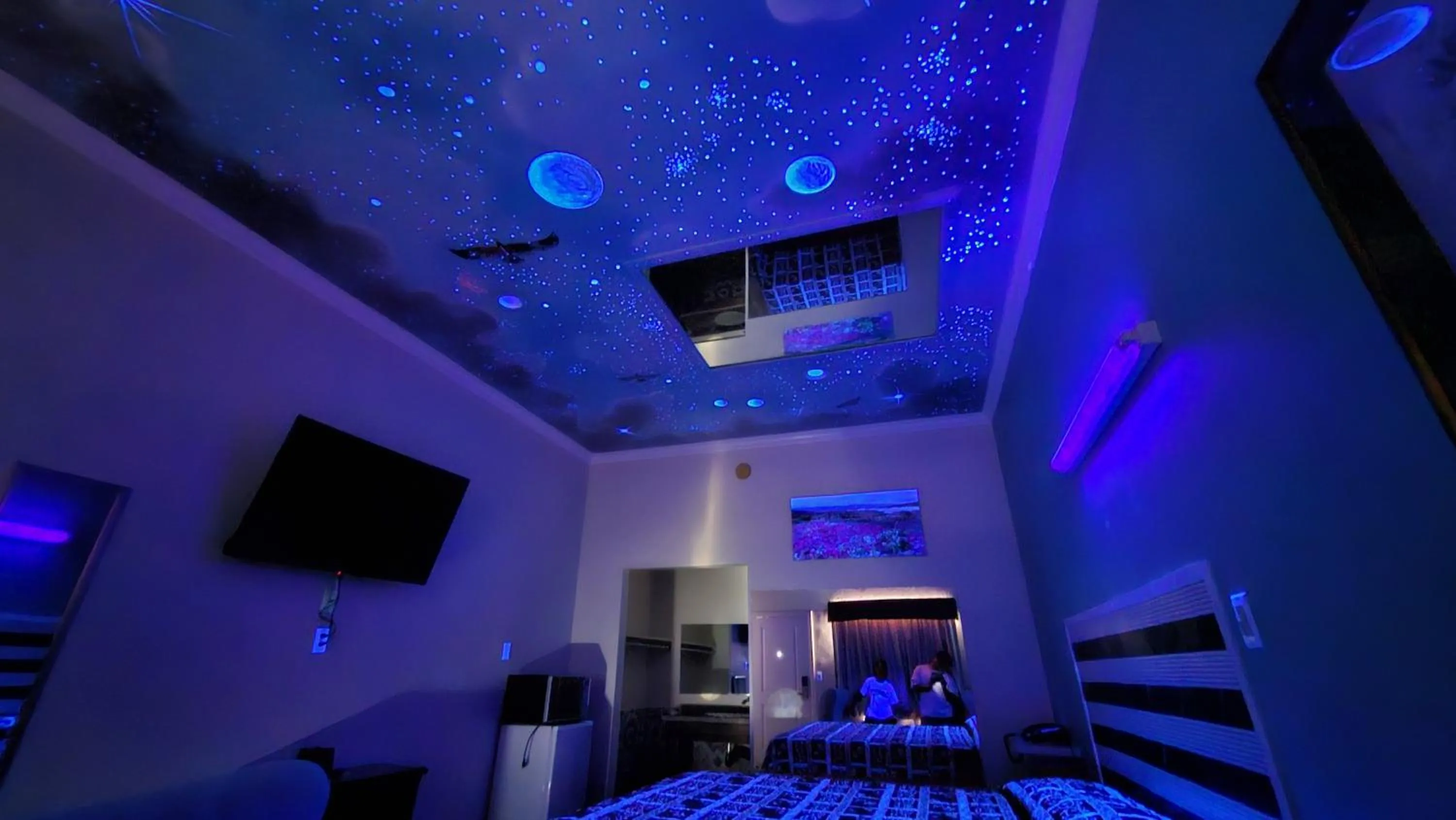 Photo of the whole room in Dream Inn