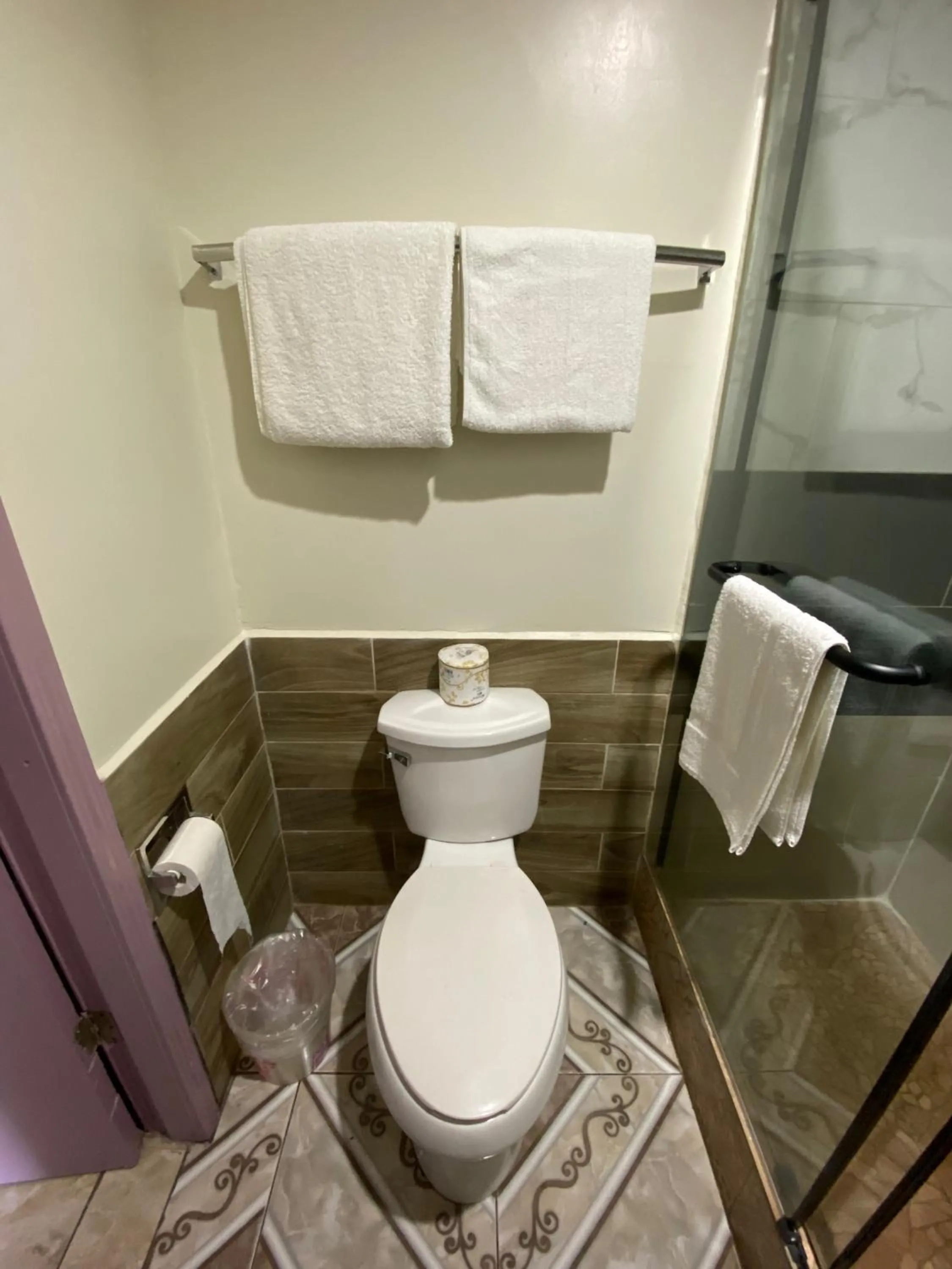 Toilet in Dream Inn
