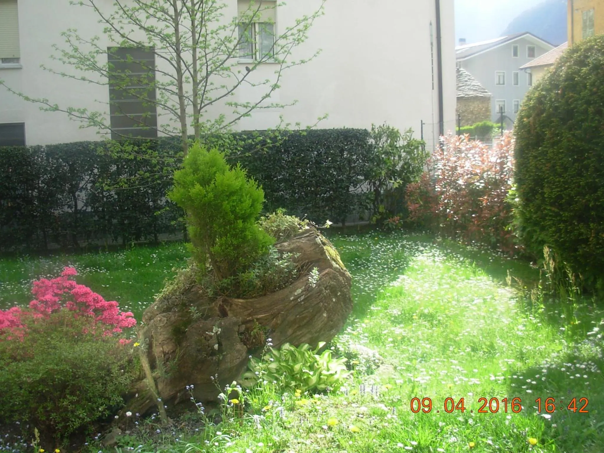 Garden in B&B I Pioppi