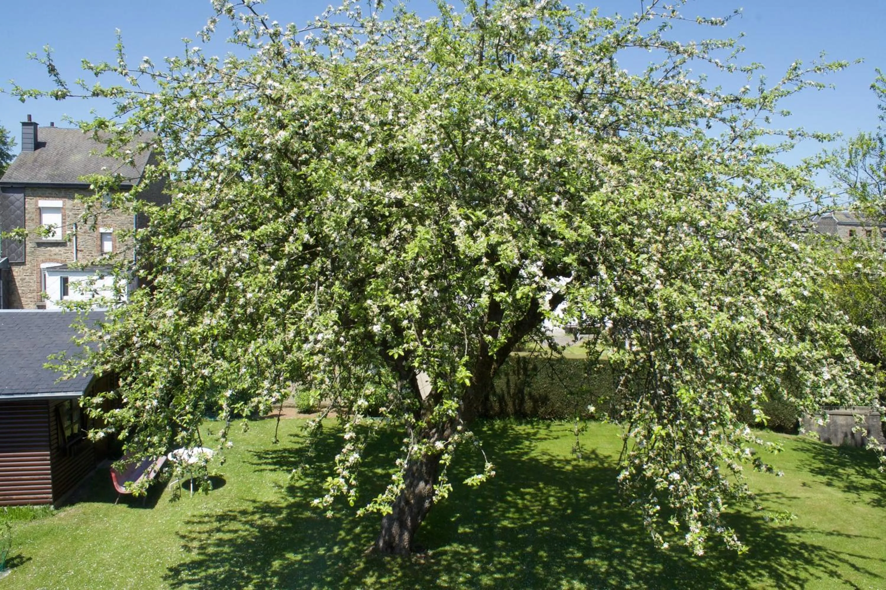 Garden view in A L'inattendue
