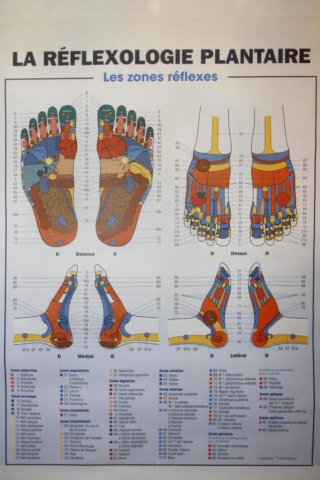 Property building in A L'inattendue