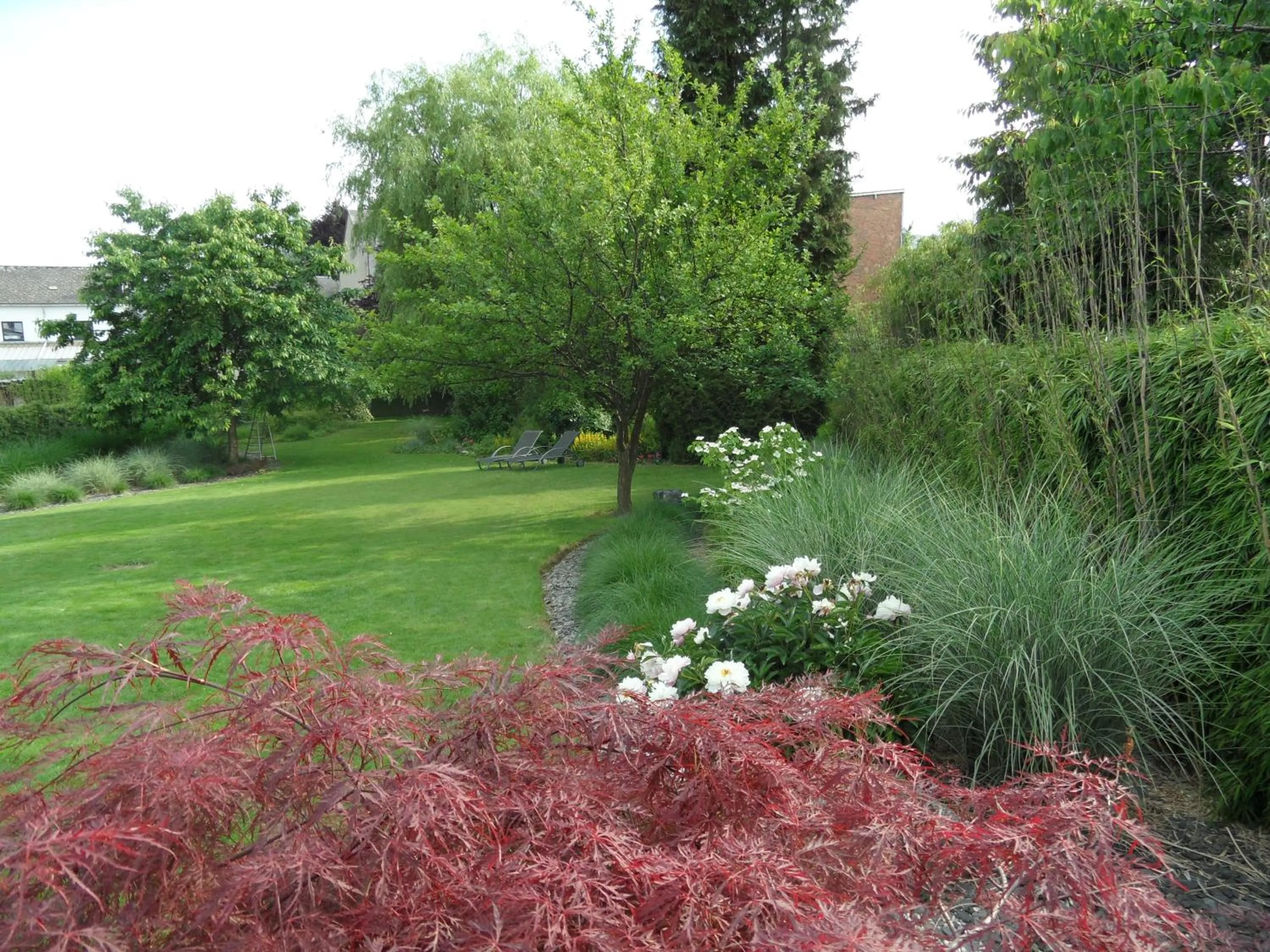 View (from property/room) in A L'inattendue